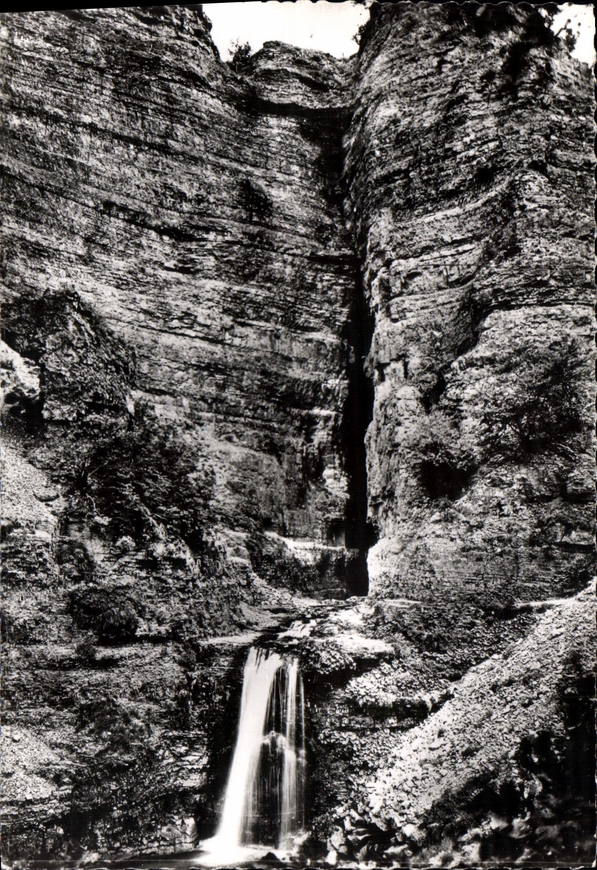CPM Les Cevennes Touristiques Massif De L'Aigoual L'Abime de Bramabiau La Sortie de la riviere Soute