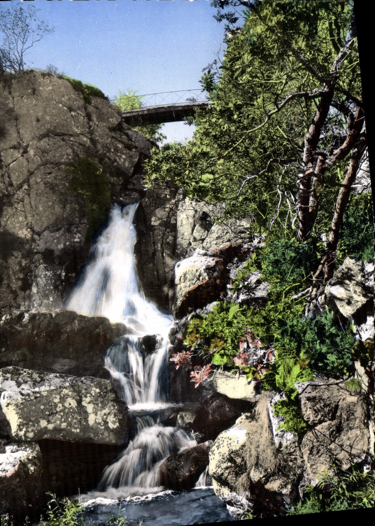 CPM Massif De L'Aigoual Cascade et Passerelle de l'Orgon