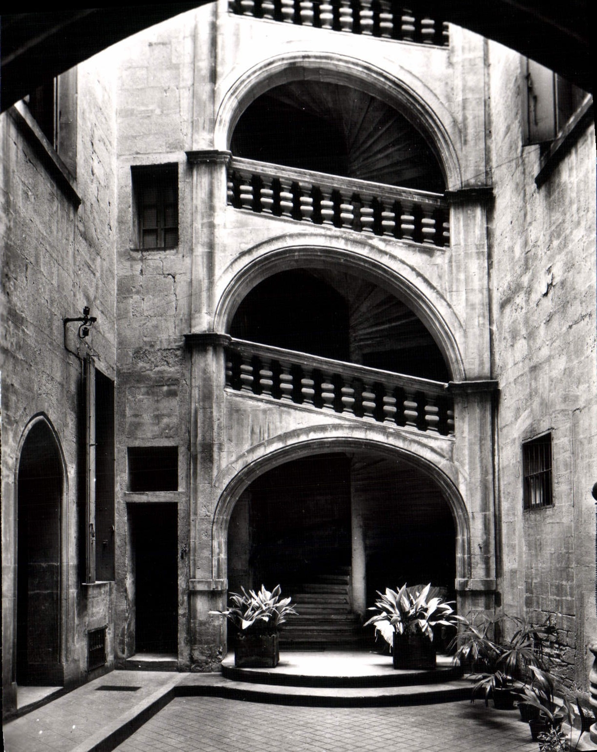 CPM Montpellier Escalier de l'Hotel de Mirmand