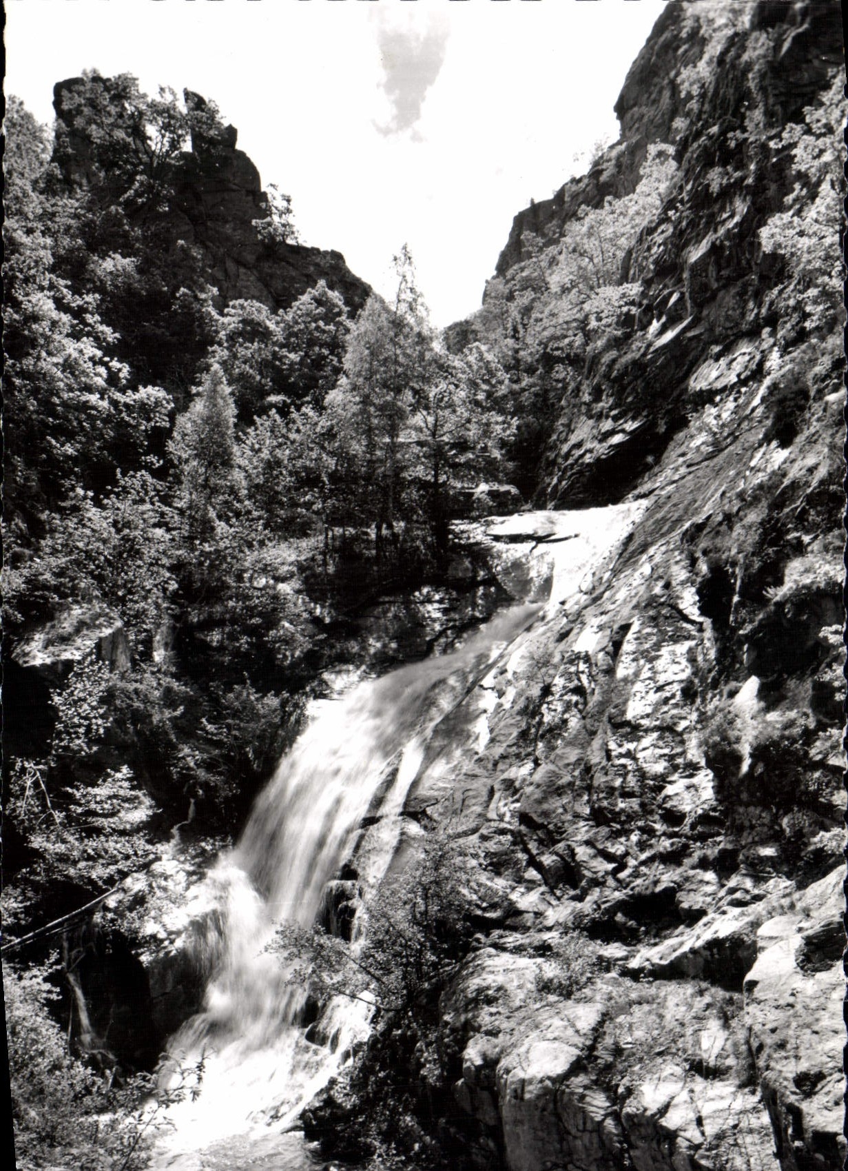 CPM Le Roussillon L'Abbaye de Saint Martin du Canigou La Cascade