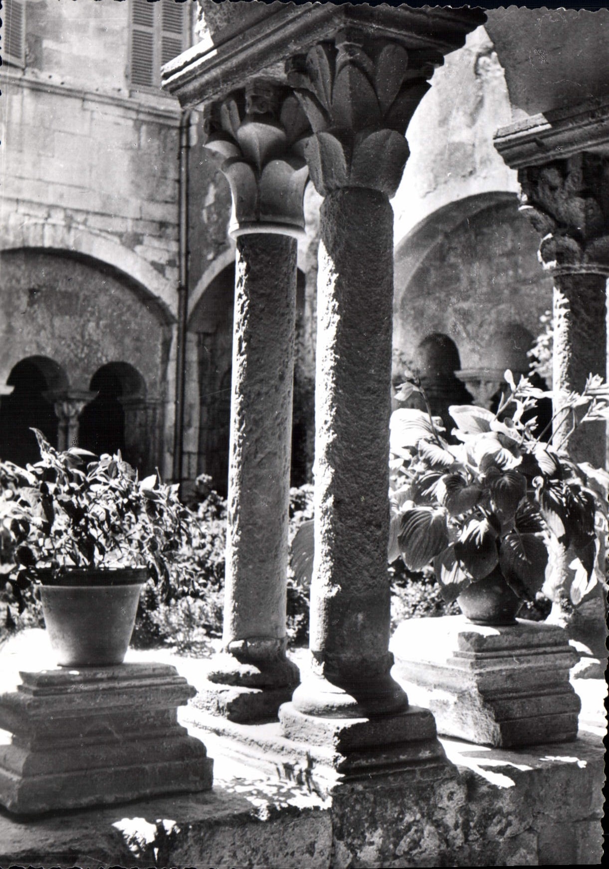 CPM Saint Remy De Provence Le Cloitre Saint Paul de Mausole