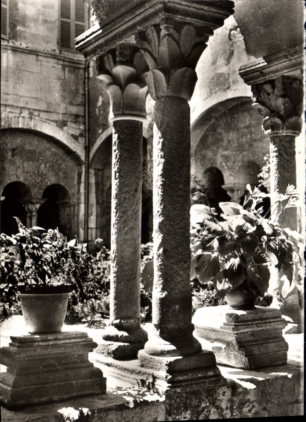 CPM Saint Remy De Provence Le Cloitre Saint Paul de Mausole