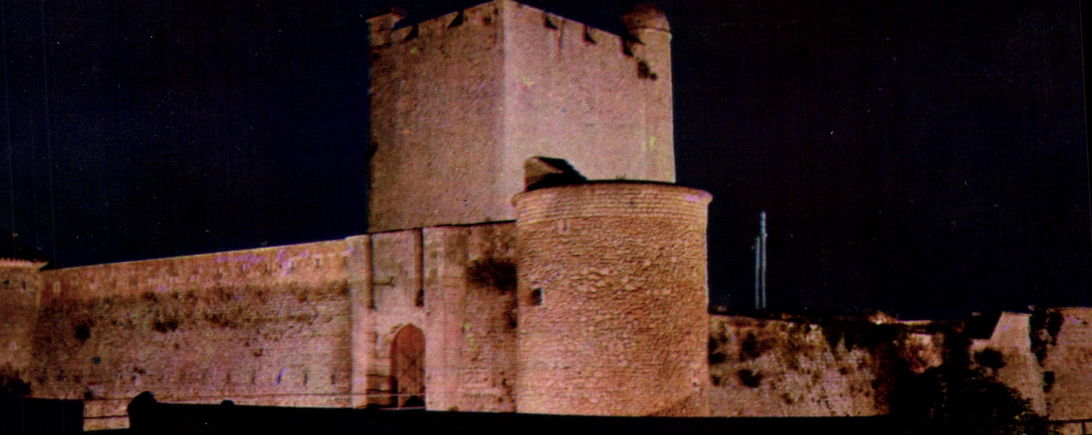 CPM Couleurs Et Lumiere De France Fouras Le Semaphore La Nuit