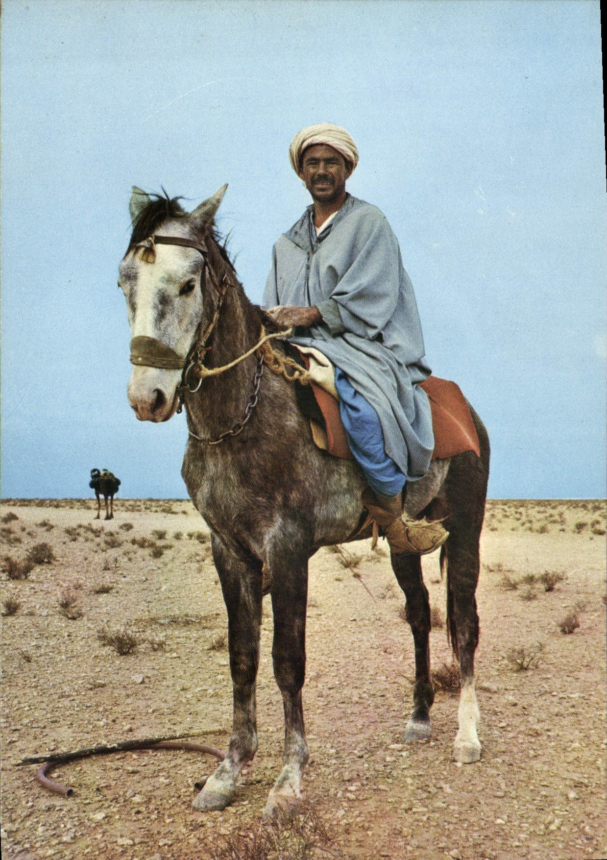 CPM Algerie Un Chamelier