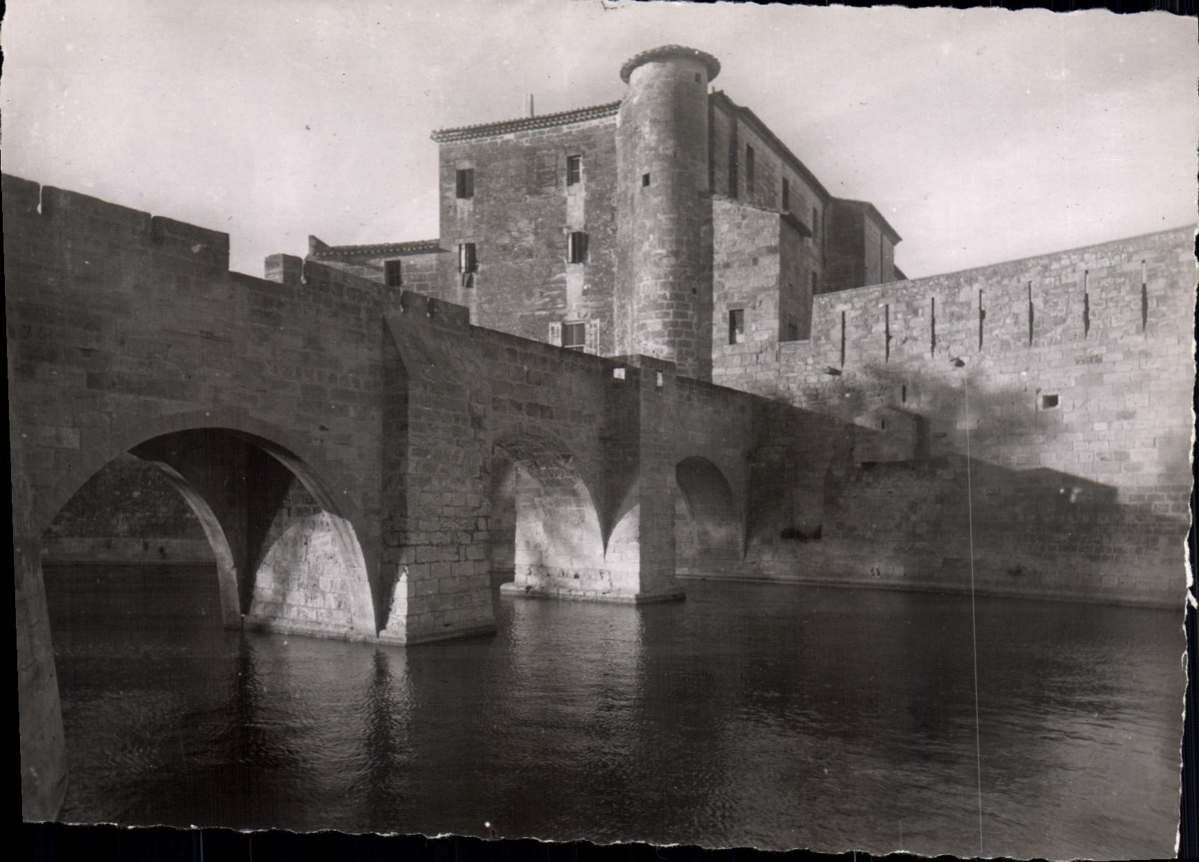 CPM Aigues Mortes Vue Des Remparts