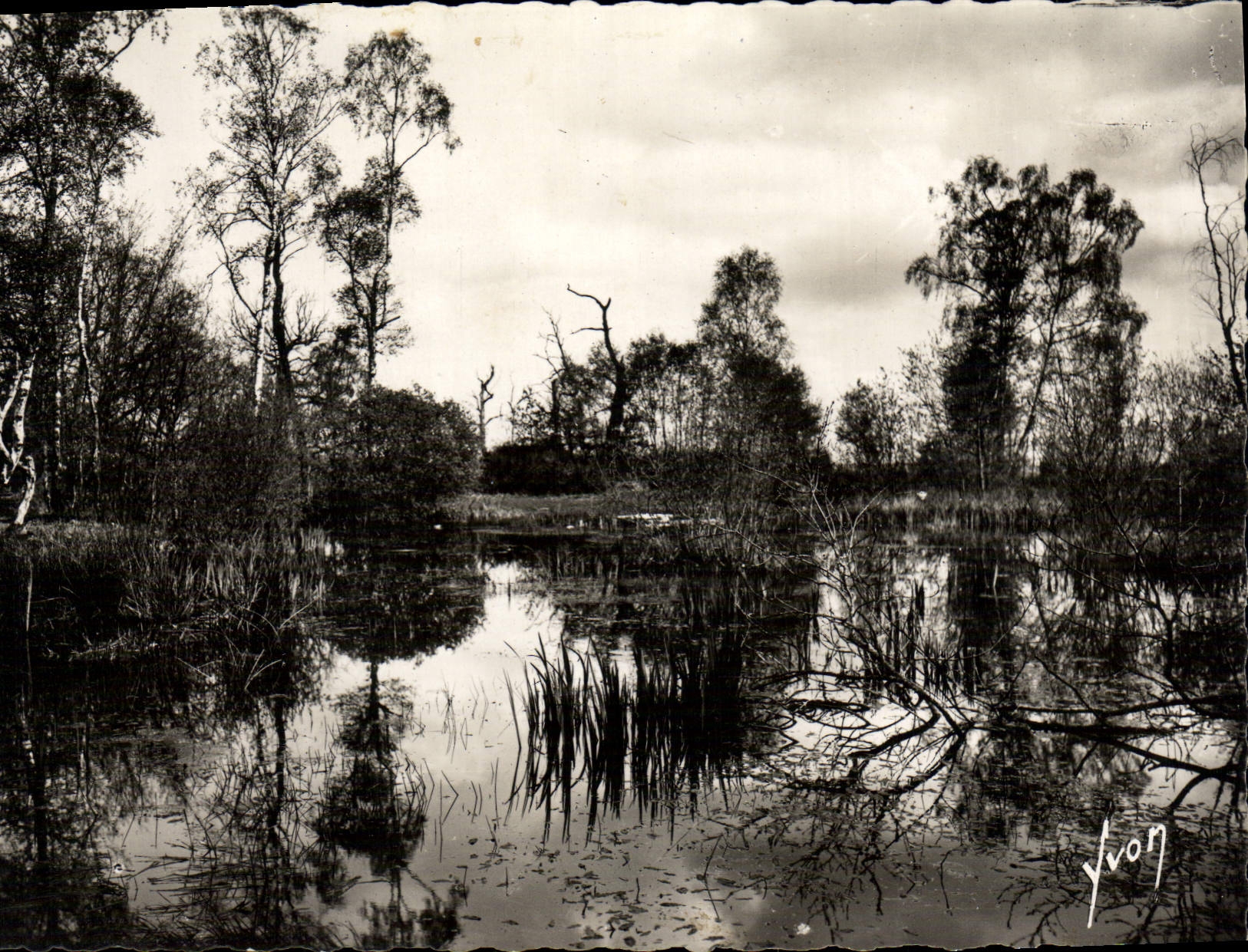 CPSM Fontainebleau La Foret La Mare Aux Fees