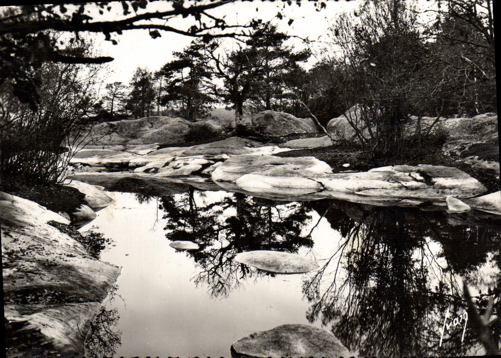 CPSM Fontainebleau La Foret Mare Aux Grenouiles