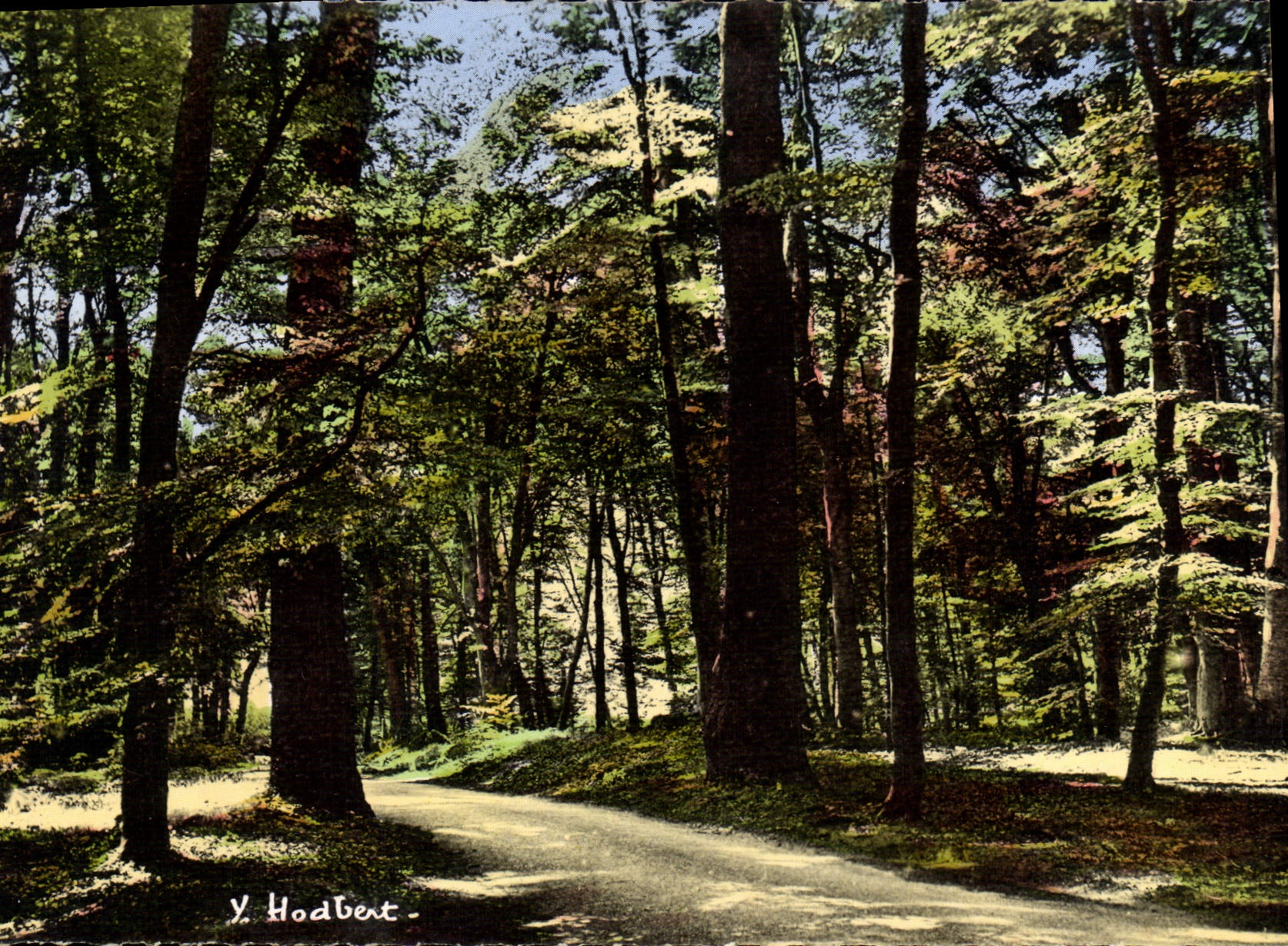 CPSM Fontainebleau Sur La Route Ronde