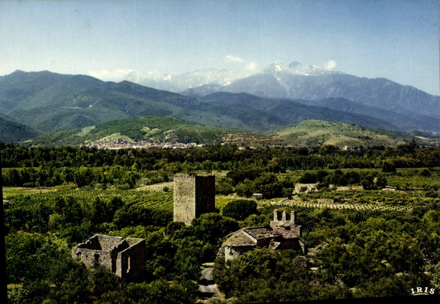 CPSM Ille Sur Tet La Vue Generale Et Le Canigou