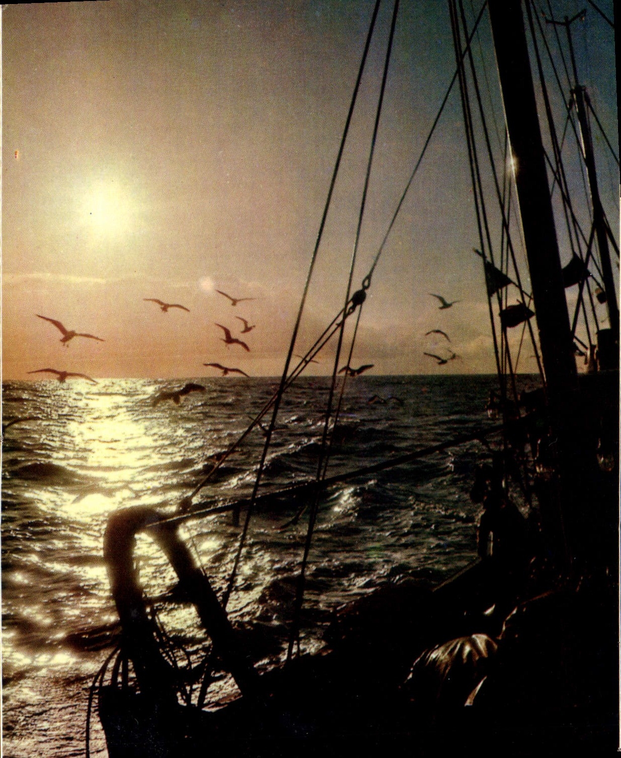 CPSM Peche En mer La Cossec Lumiere De France