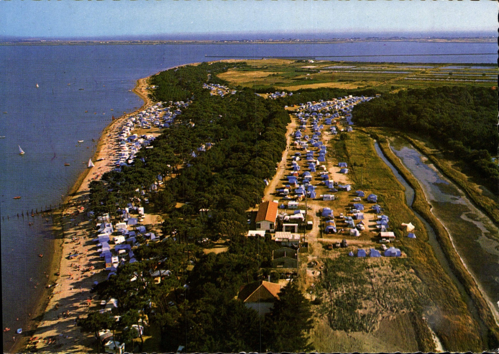 CPSM Noimoutier Le Camping Des Sableauvx
