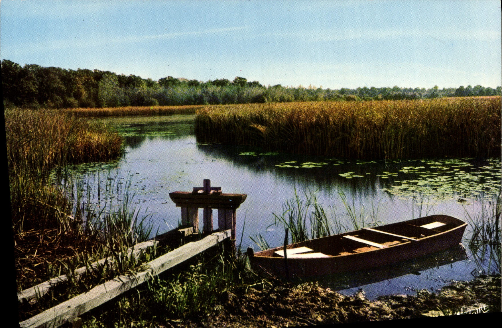CPSM En Sologne L'Etang