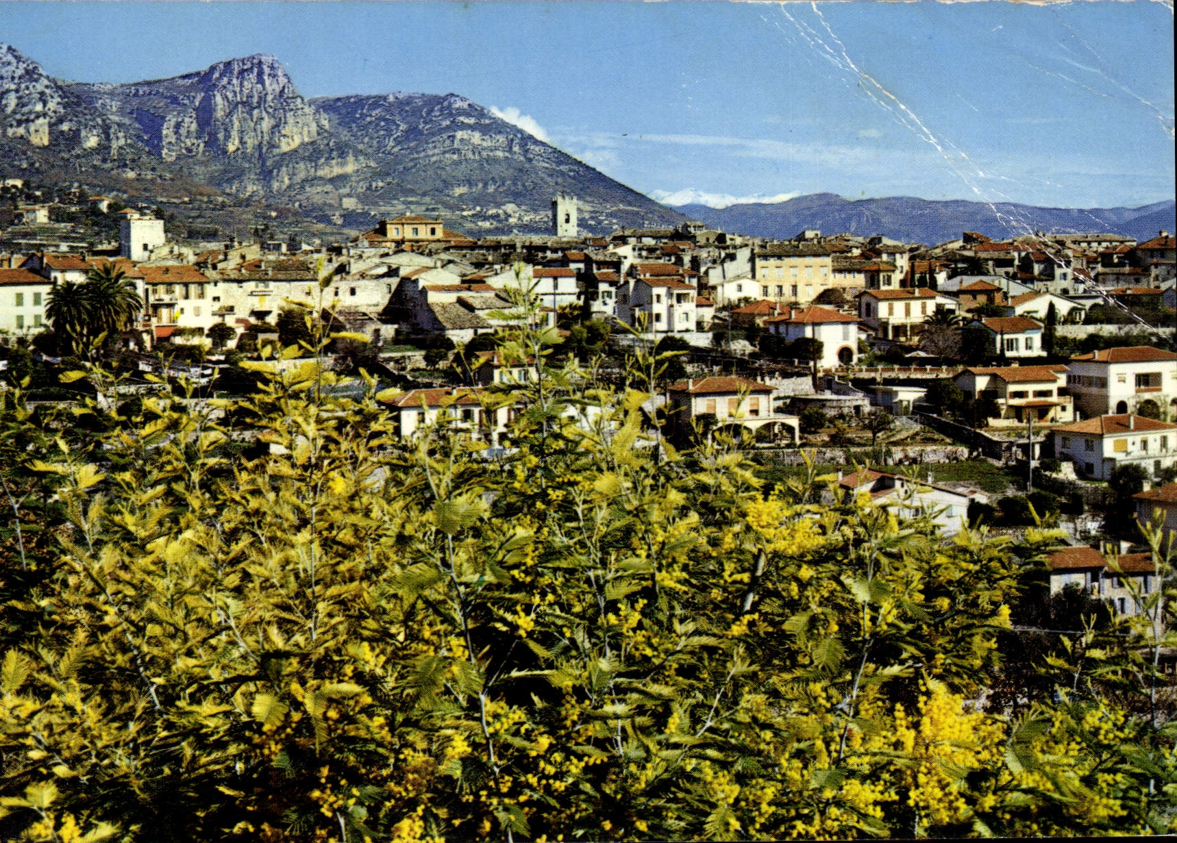 CPSM Cote D'Azur Vence La Jolie Vue Panoramique