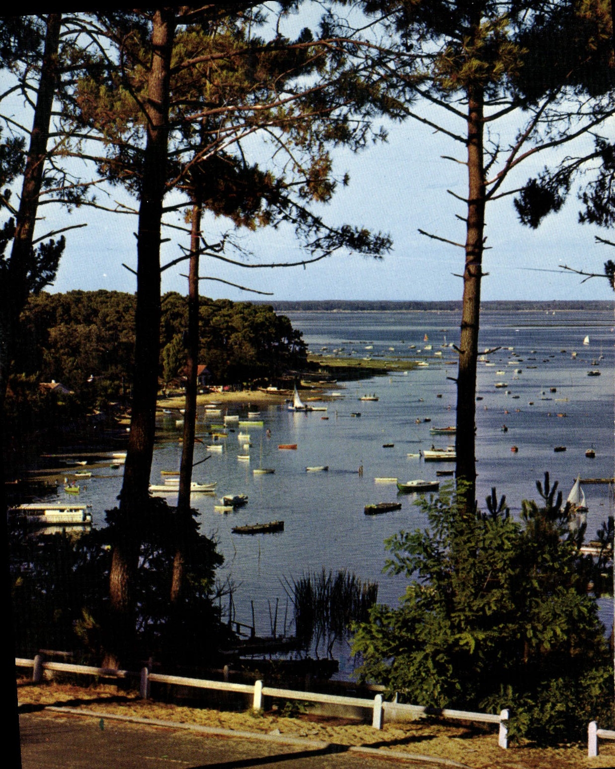 CPSM Bassin D'Arcachon Echappee Sur Le bassin