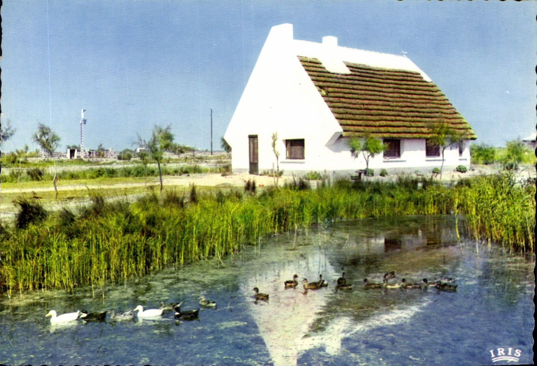 CPSM En Camargue Avec Les Gardians Cabane de Gardians au Milleu des Marais