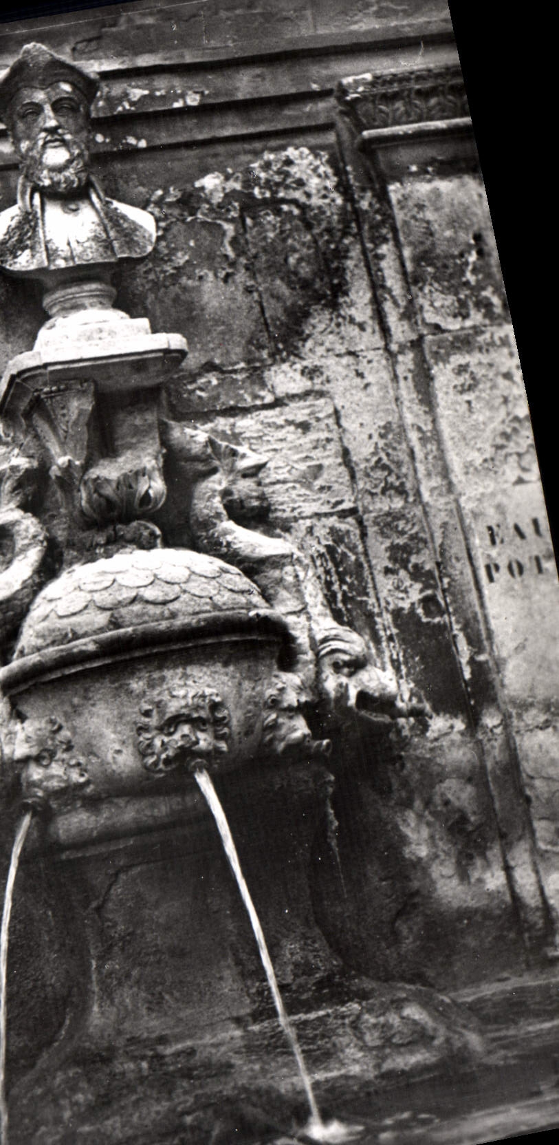 CPSM Saint Remy De Provence Fontaine Nostradamus