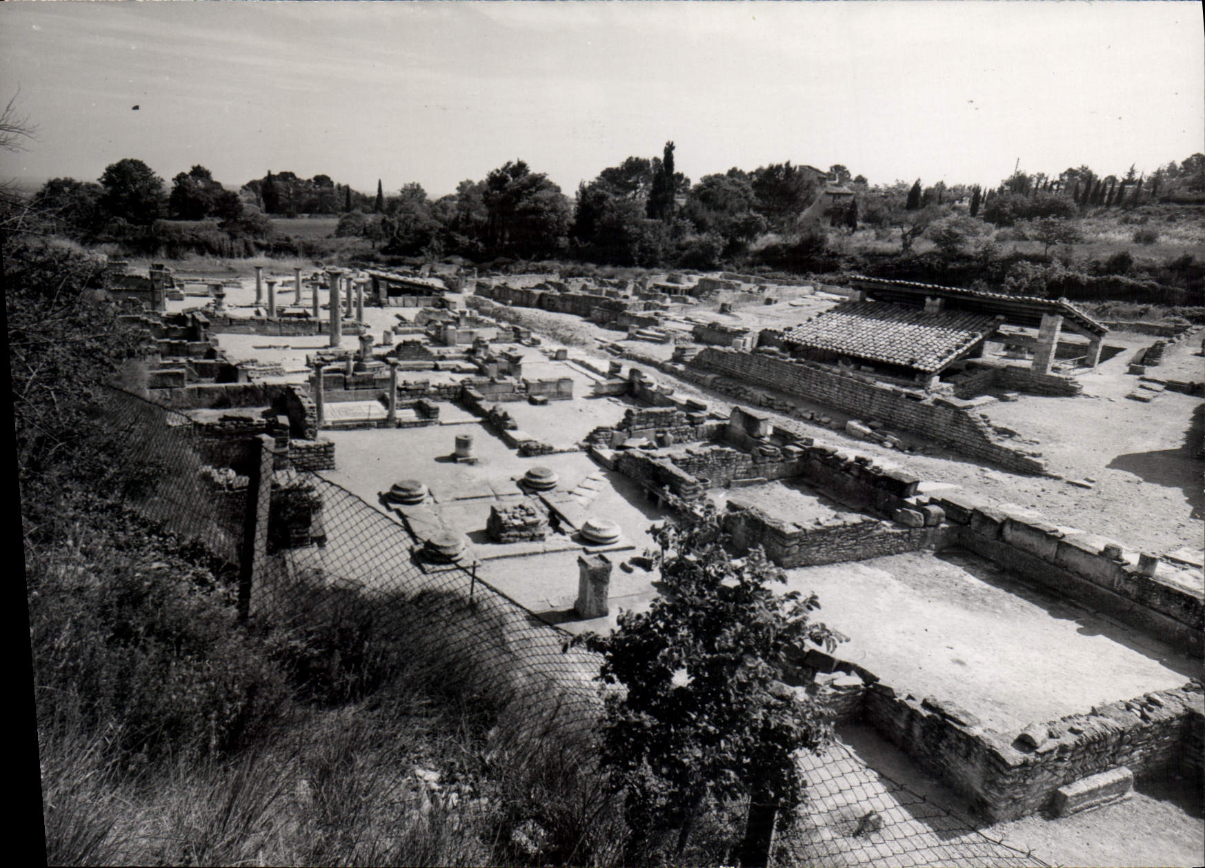 CPSM Fouille De Glanum