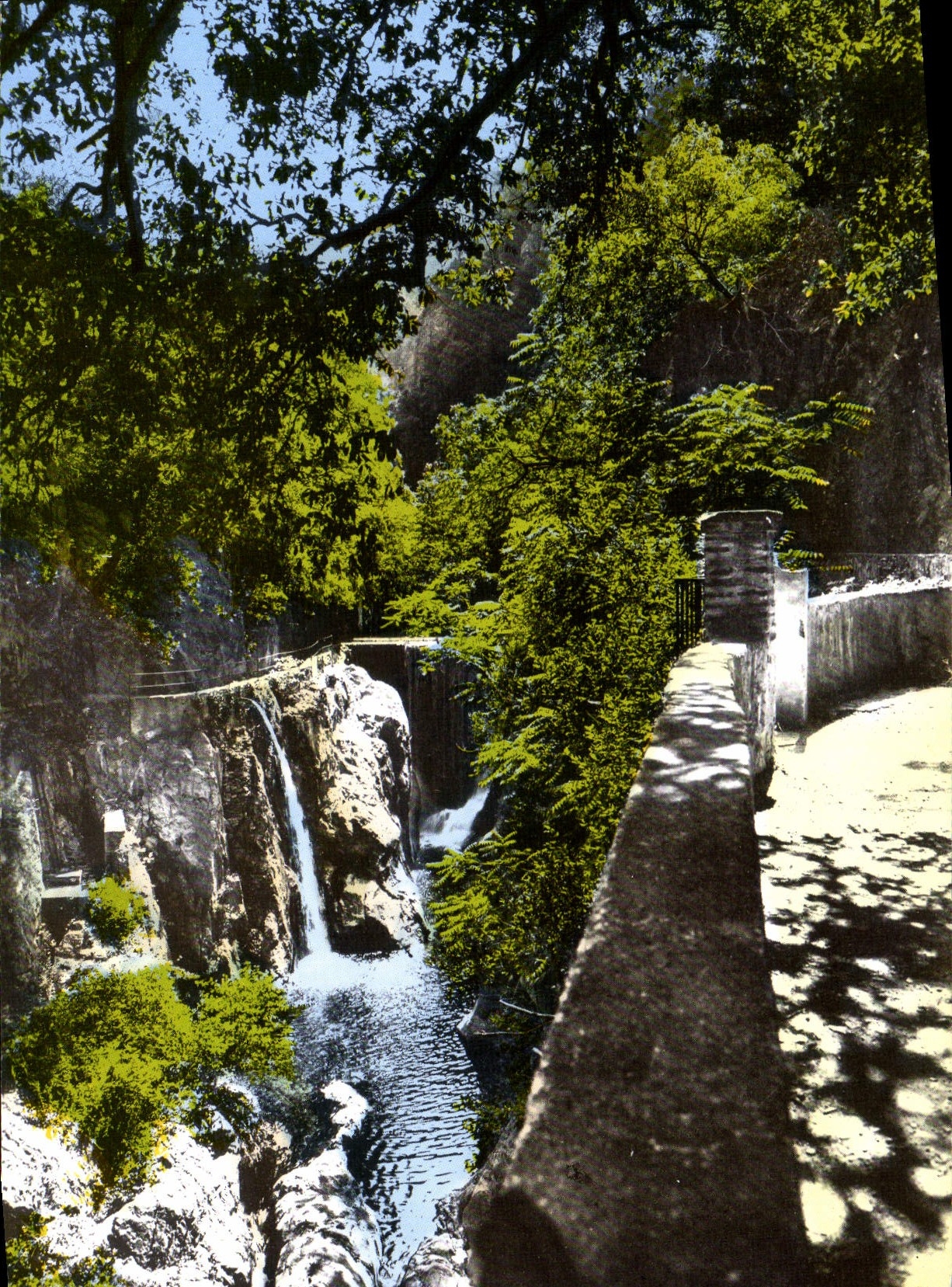 CPSM Amelie Les Bains Perle Des Pyrenees