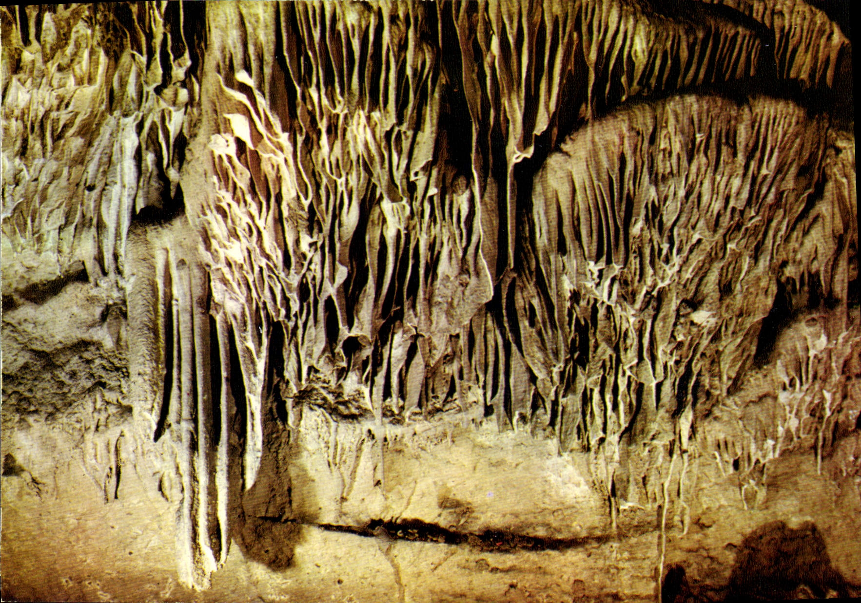 CPSM Les Grottes D'Arcy Sur Cure Les Draperies