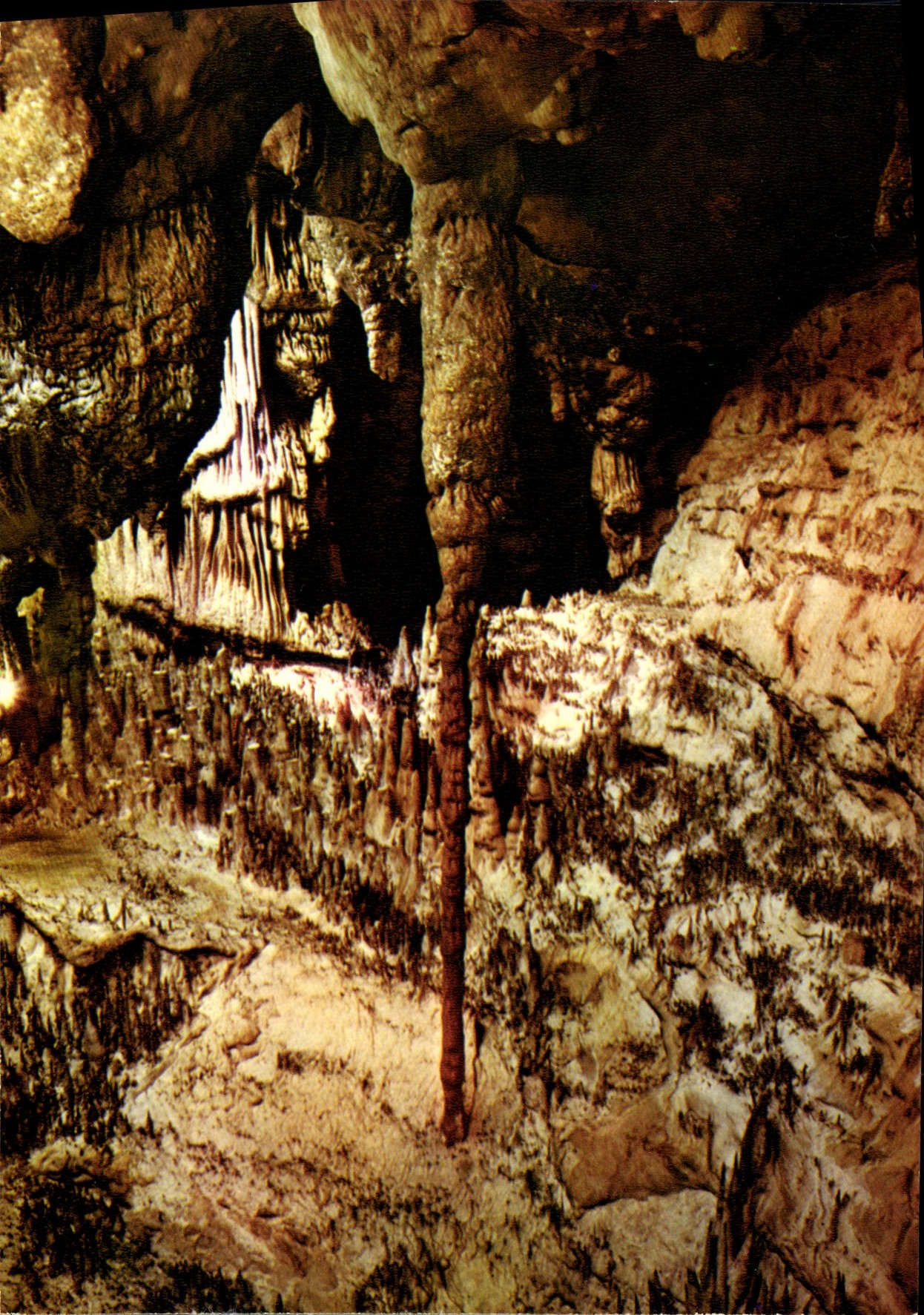 CPSM Les Grottes D'Arcy Sur Cure Le Cierge Pascal