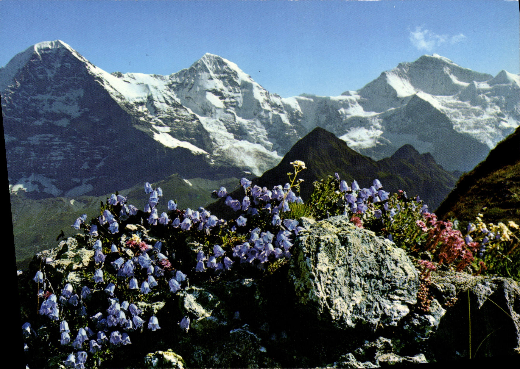 CPSM Eiger Monch Und Jungfrau