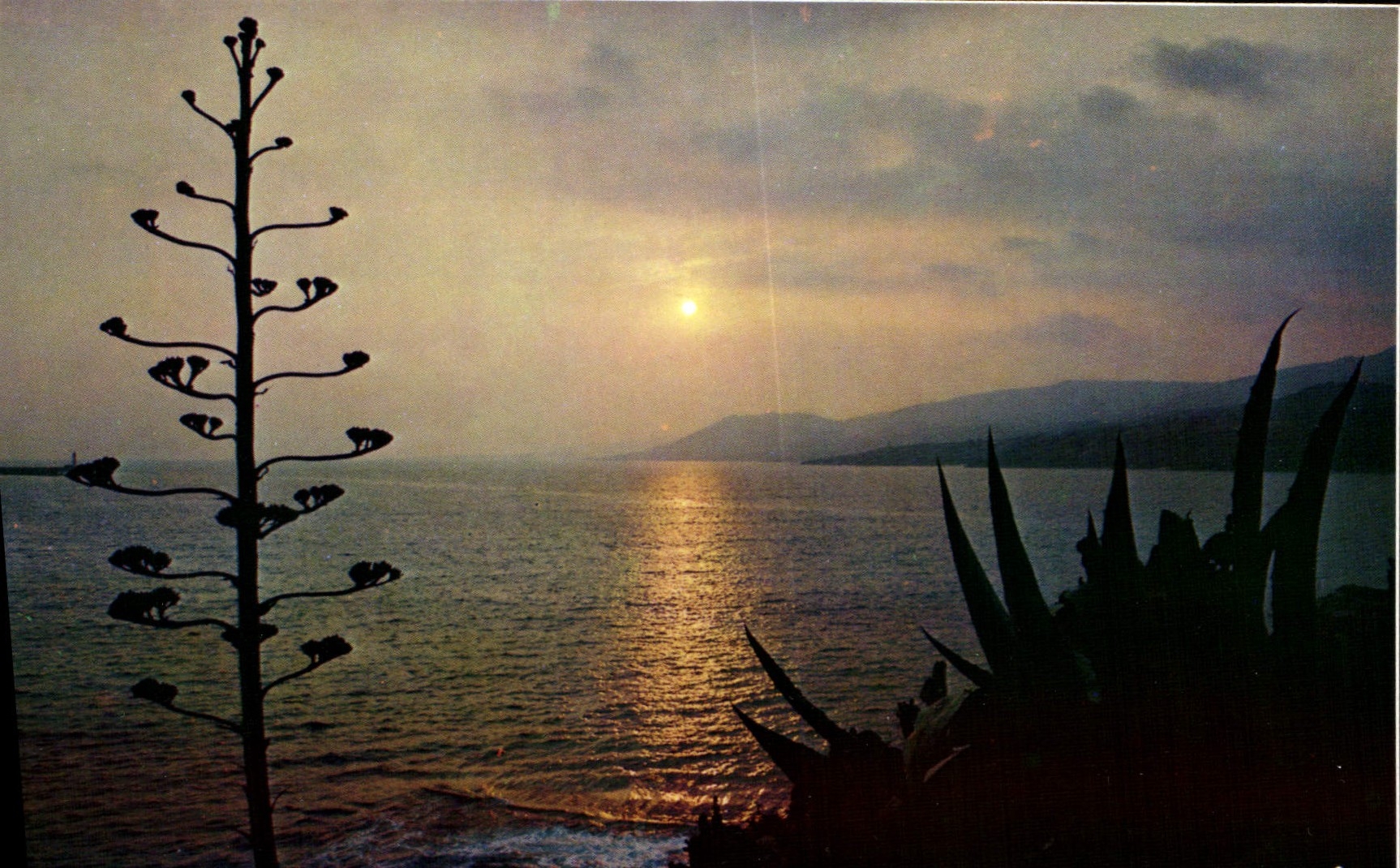 CPSM Couleurs Et Lumiere De France Coucher De Soleil Sur La Mer