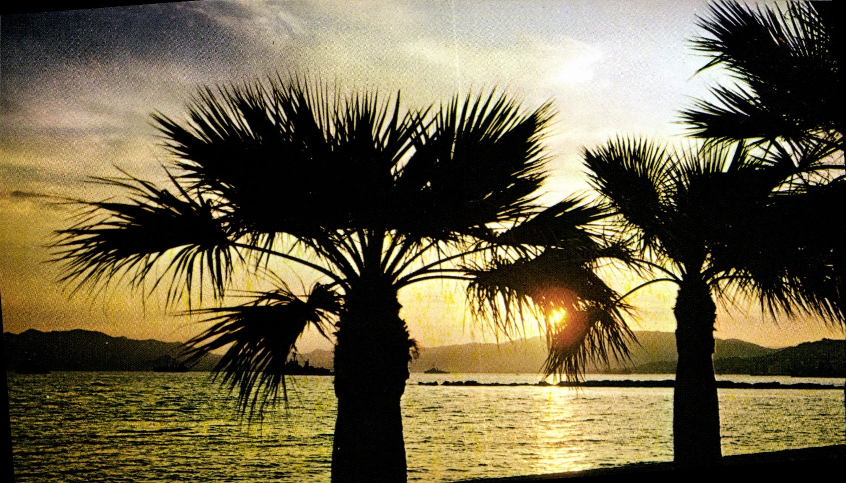 CPSM Couleurs Et Lumiere De France La Cote D'Azur Miracle De La Nature