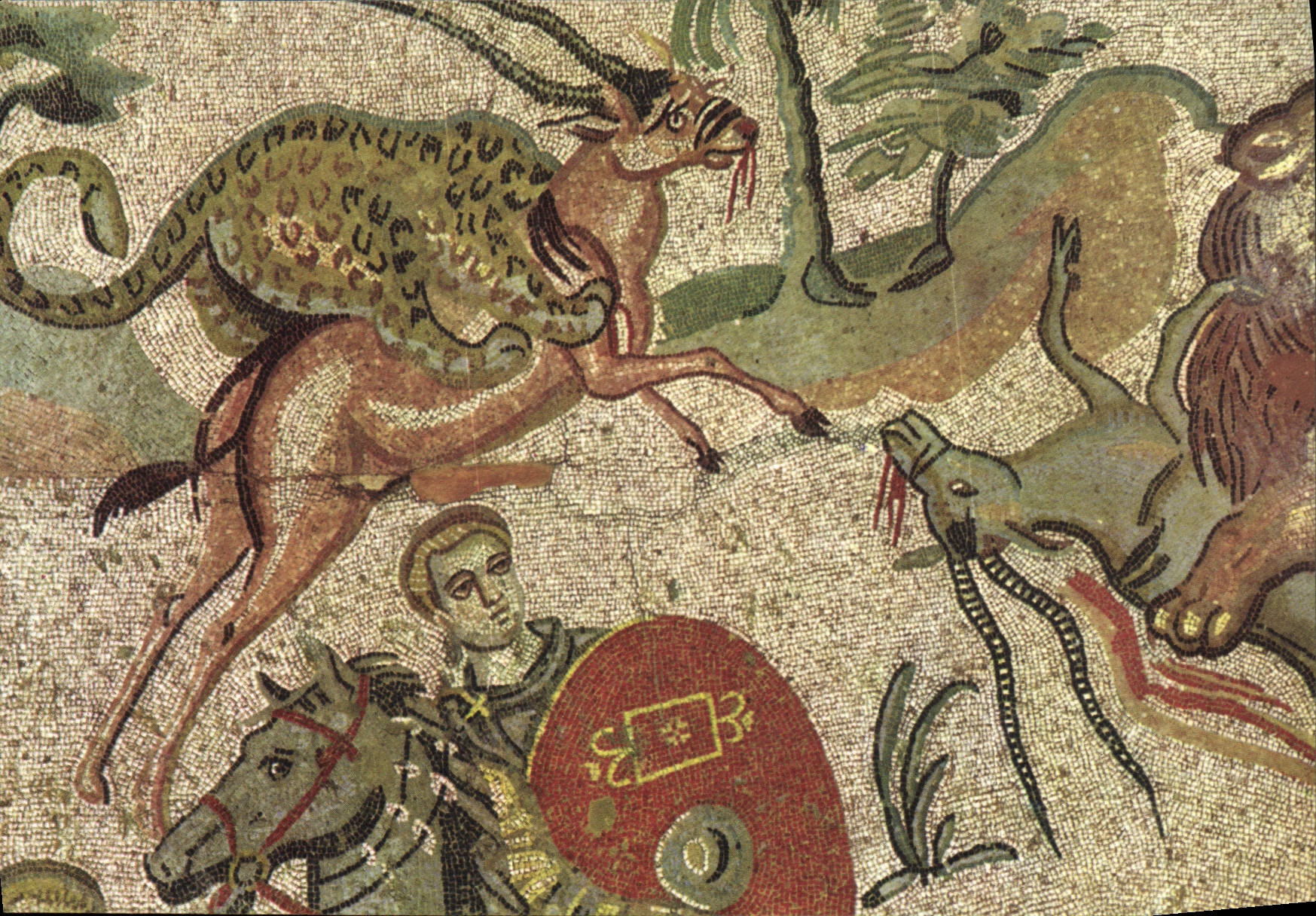 CPSM Ignoto Ambulacro Della Caccia
