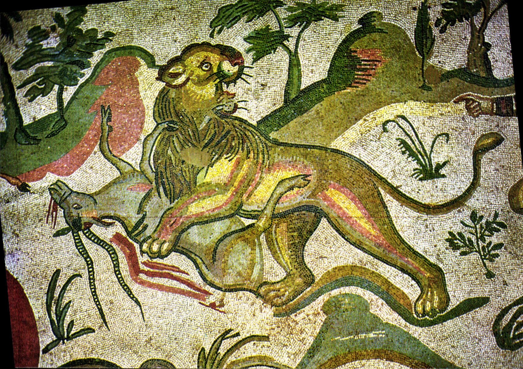 CPSM Piazza Armerina Mosaial Mosaigues