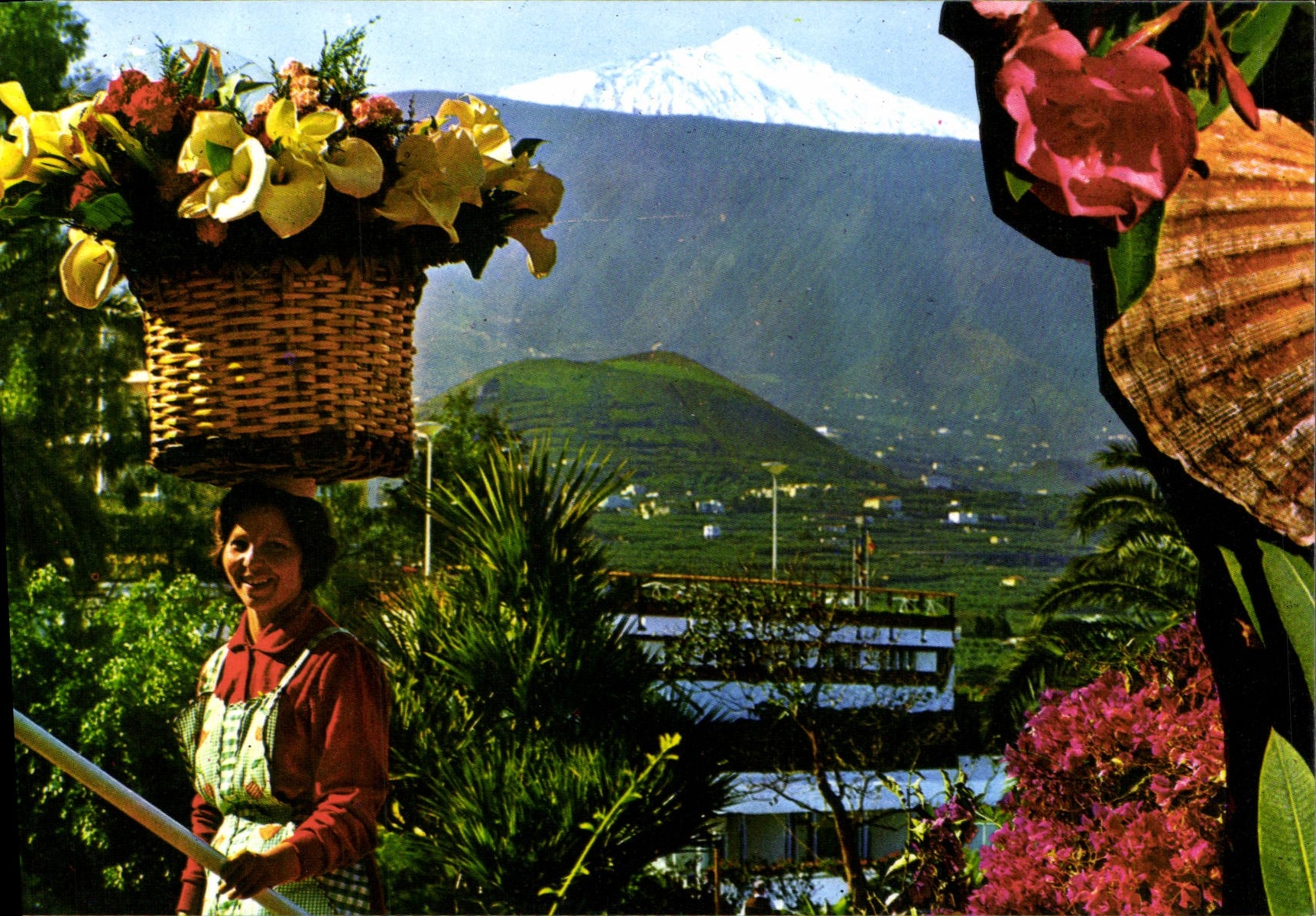 CPSM Pureto De La Cruz Tenerife
