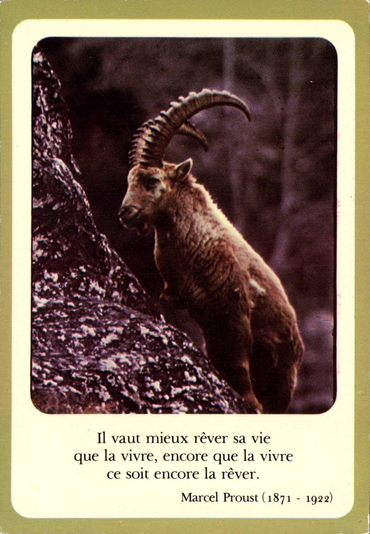 CPSM Bouquetin Des Alpes
