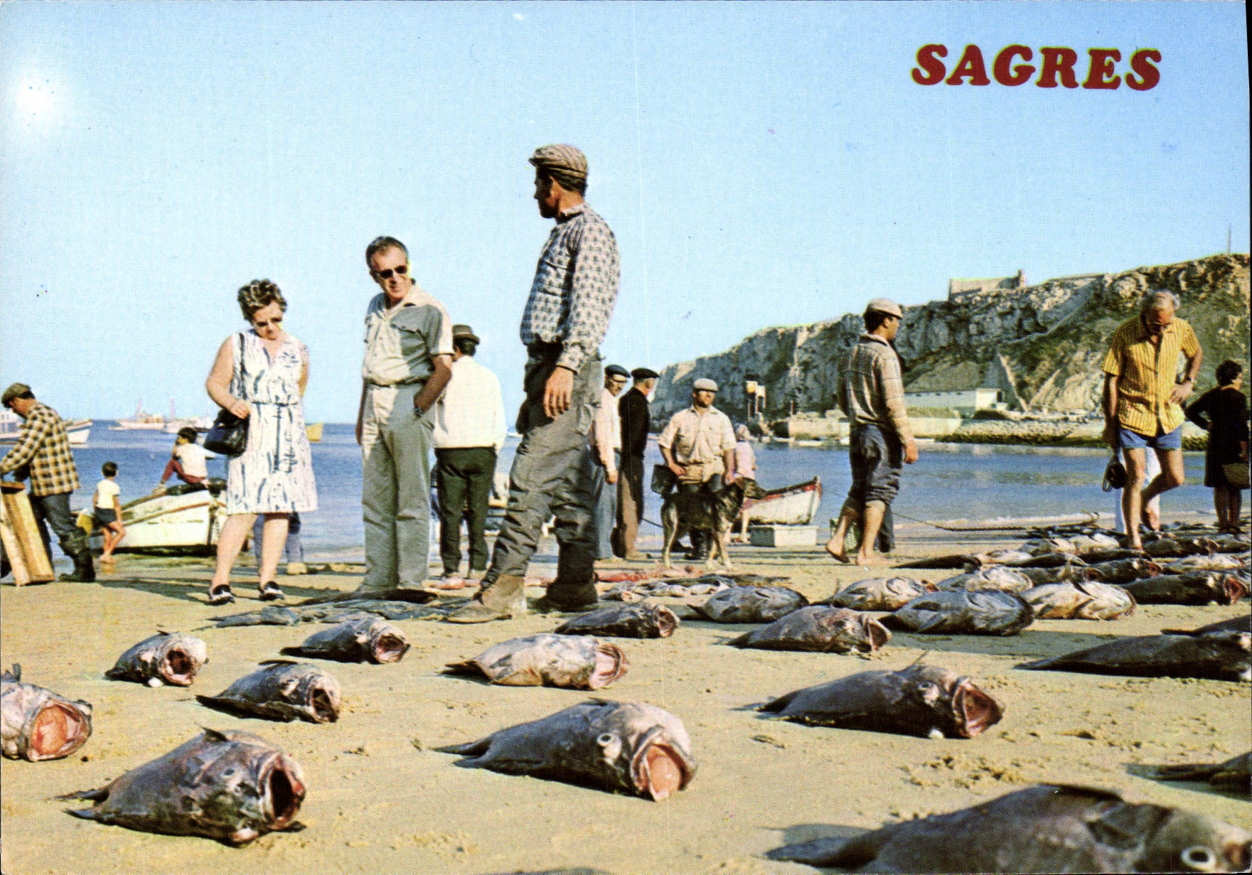 CPSM Sagres Portugal Lata