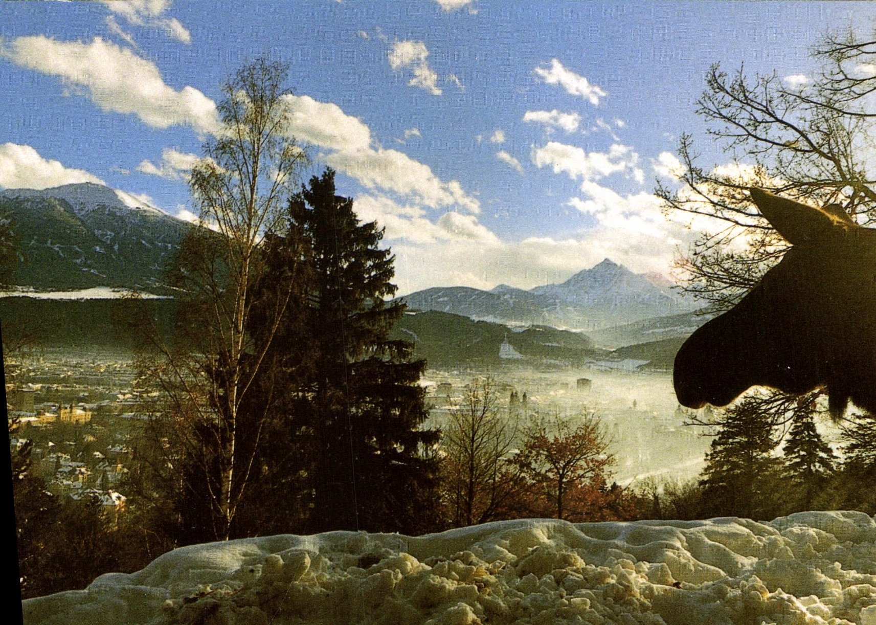 CPSM Alpenzoo Innsbruck Tirol Austria