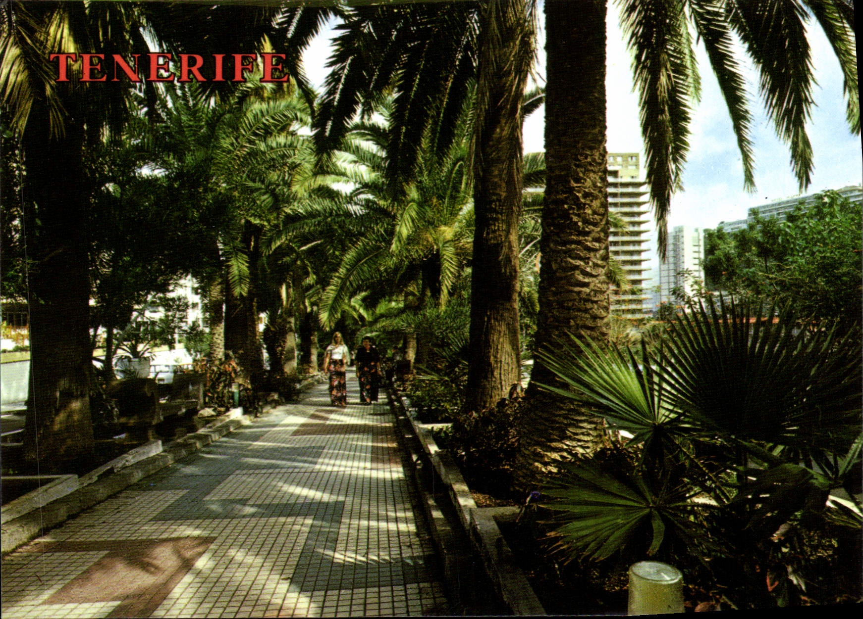 CPSM Tenerife Puerto De La Cruz