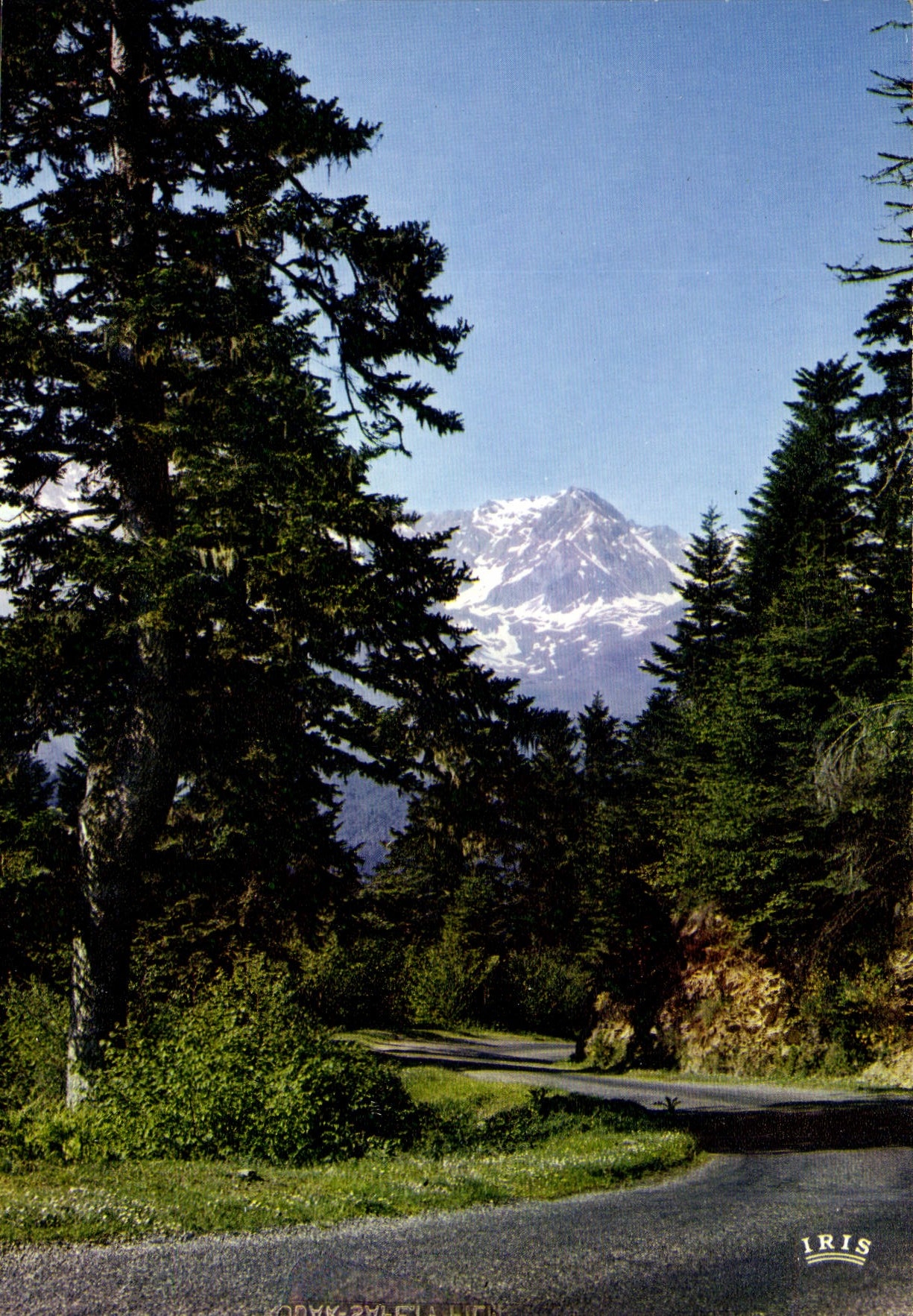 CPSM La Route Des Pyrenees Dans Le Col D'Aspin