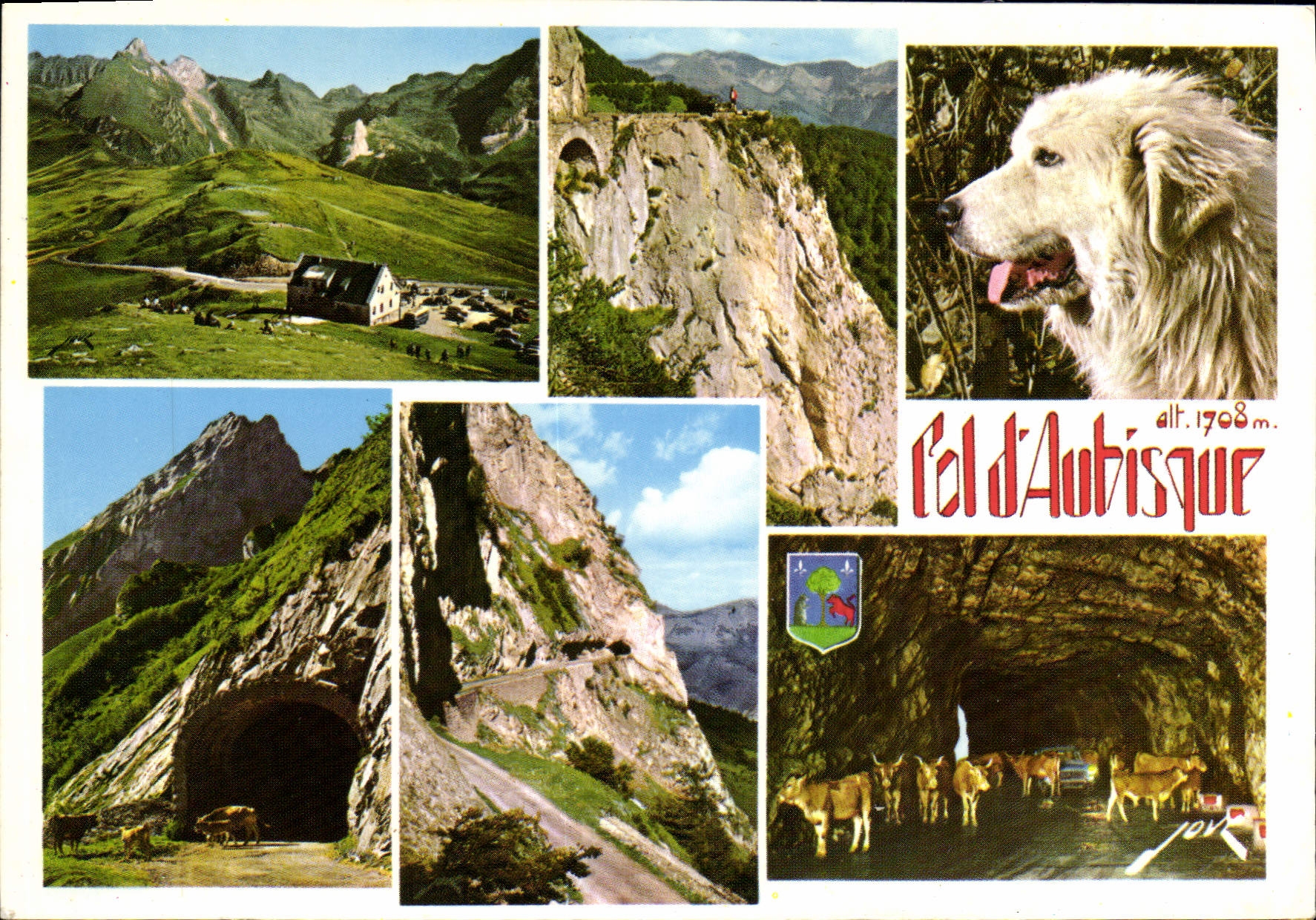 CPSM Souvenir du Col d'Aubisque
