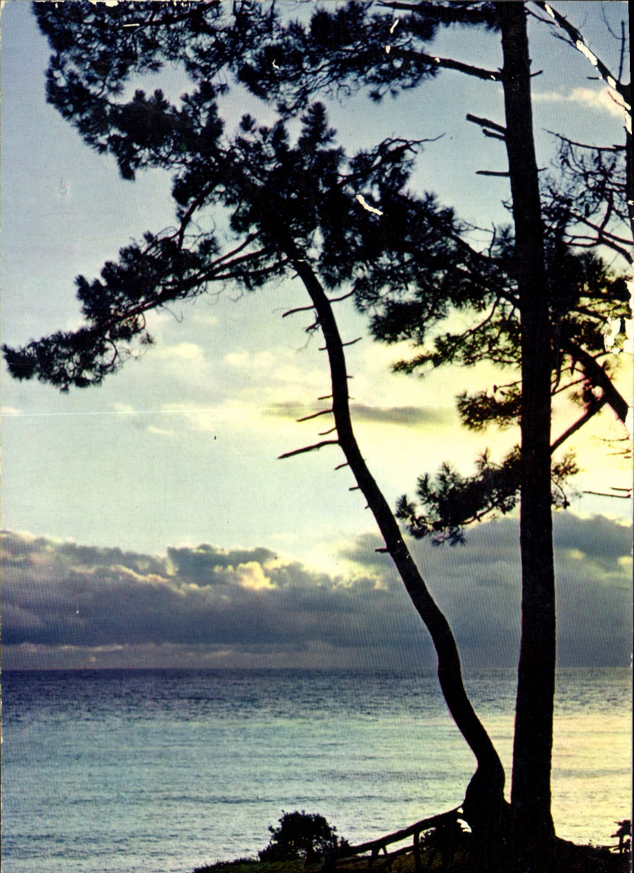 CPSM Coucher de Soleil 