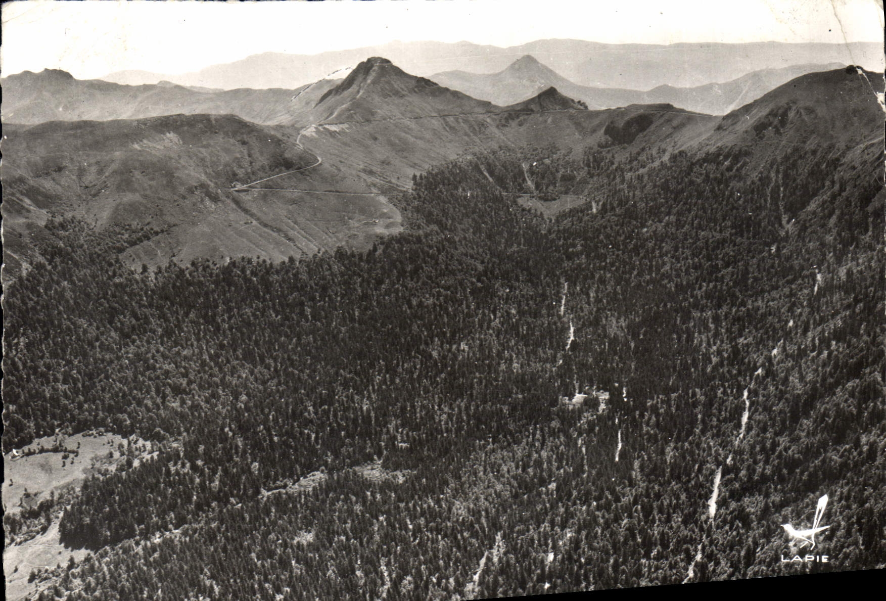 CPSM Massif du Puy Mary Cantal Le Bois du Falgoux 