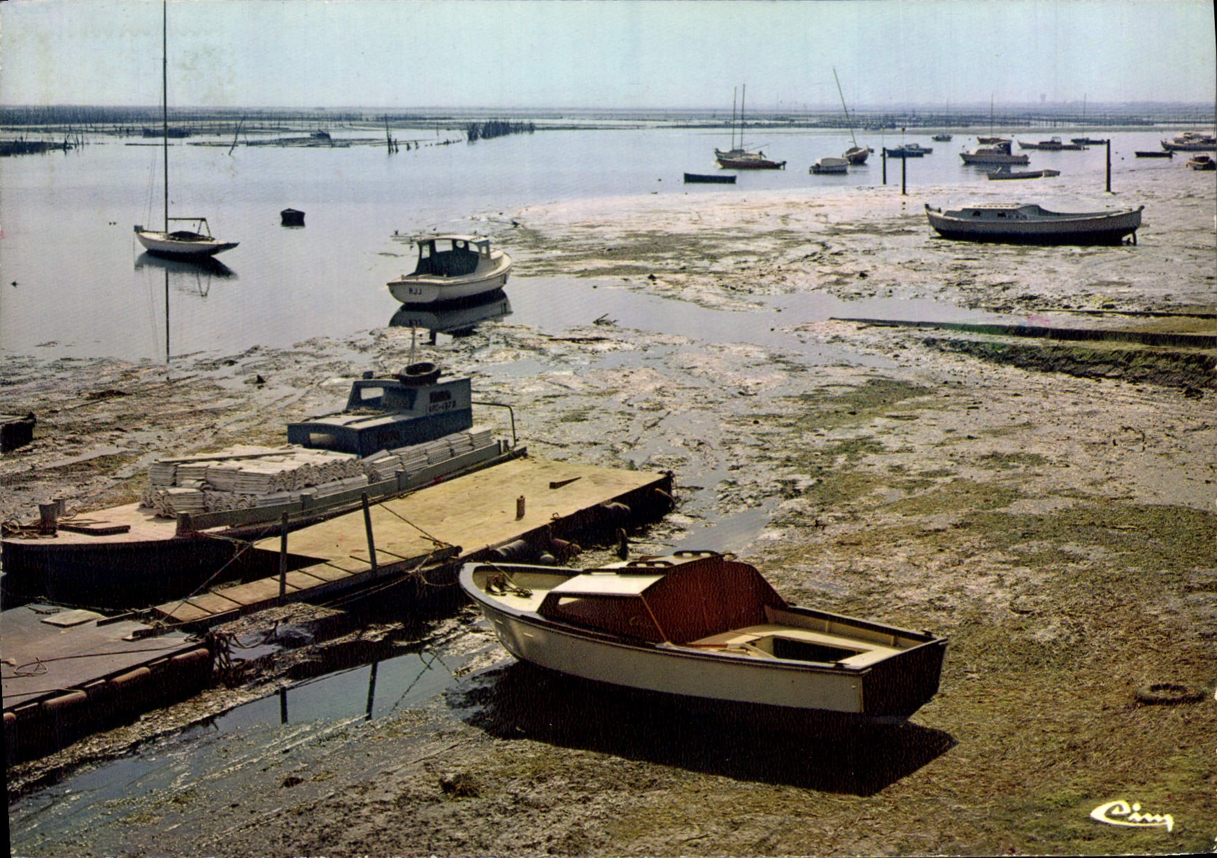 CPSM Arcachon Gironde Pointe de l'Aiguillon a marree basse