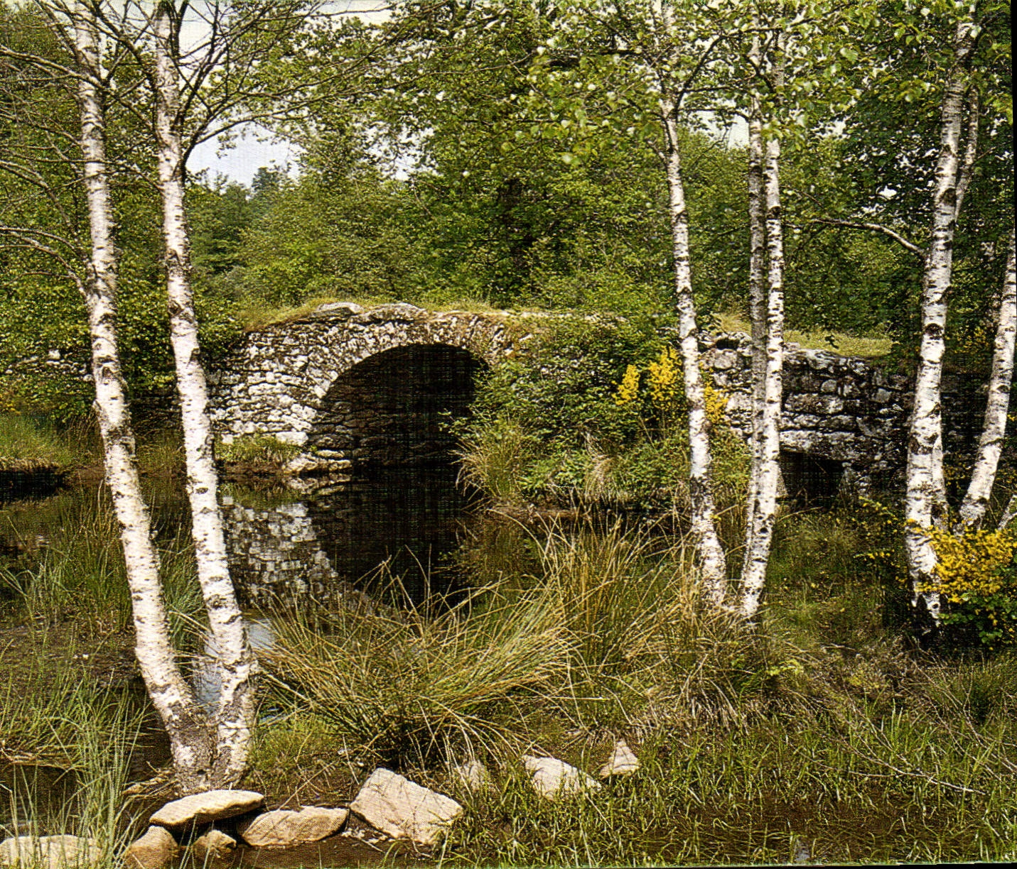 CPSM Le Limousin touristique Pays d'Eau et de Verdure