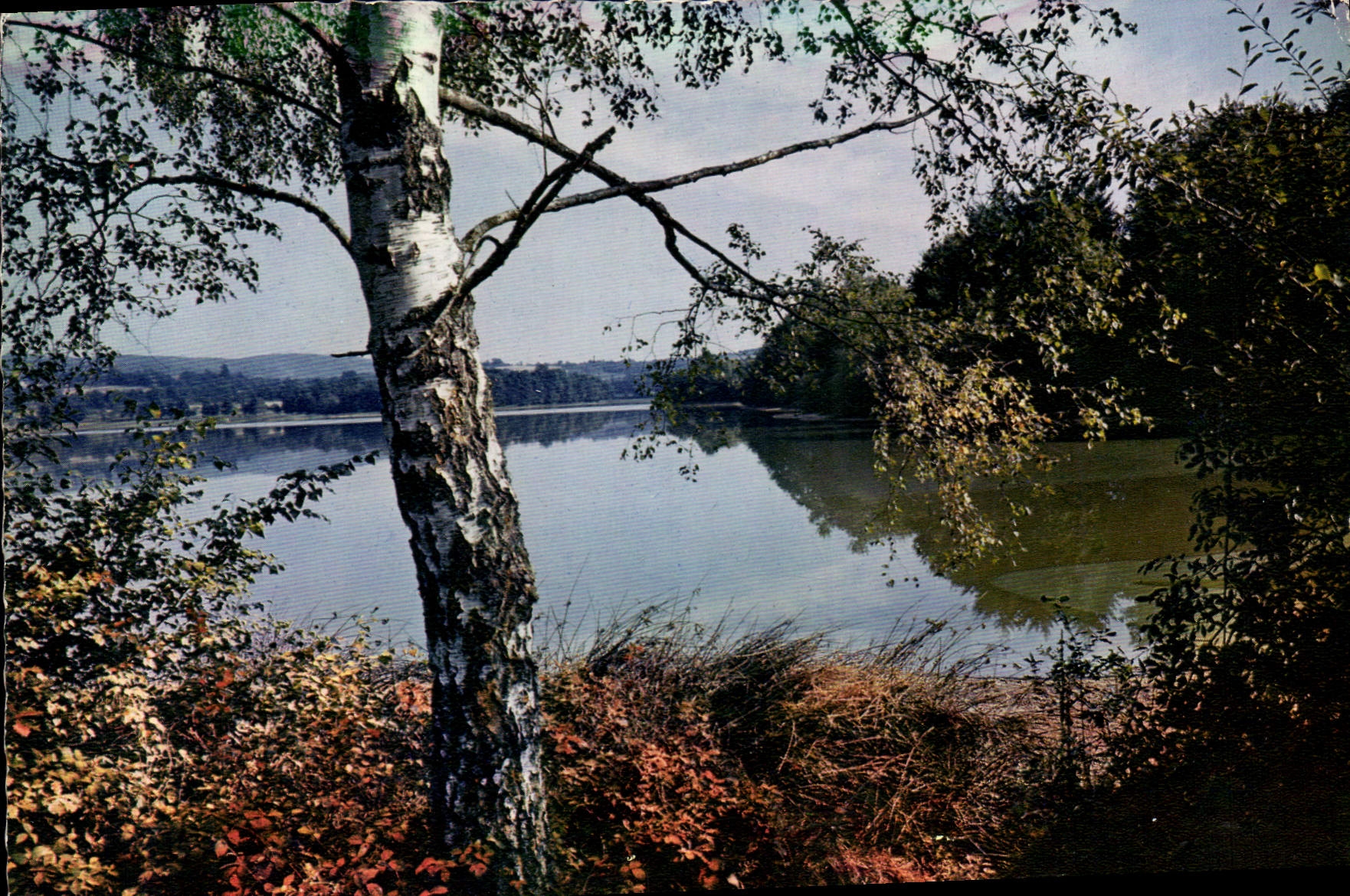 CPSM Le Limousin Pittoresque L'Etang de Cieux