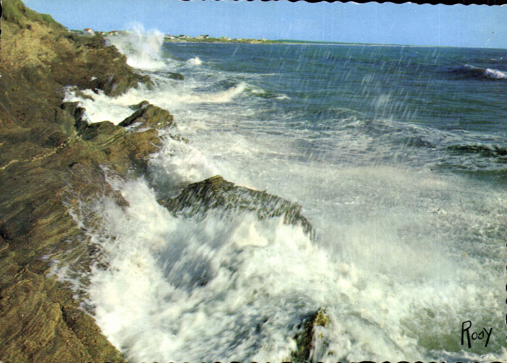 CPSM Au bord de la Mer 