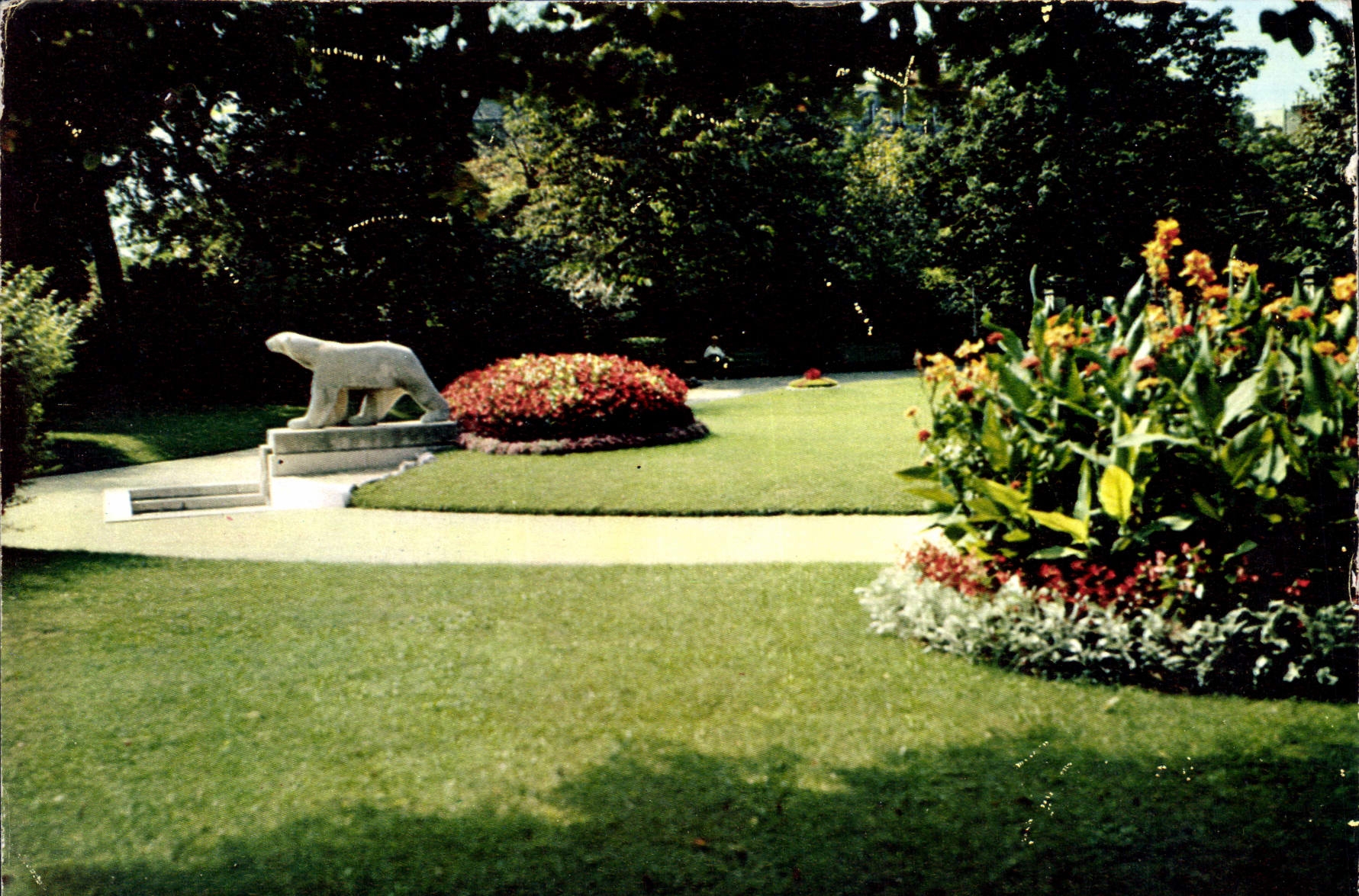 CPSM Dijon Cote d'Or Jardin Darcy L'Ours de Pompon