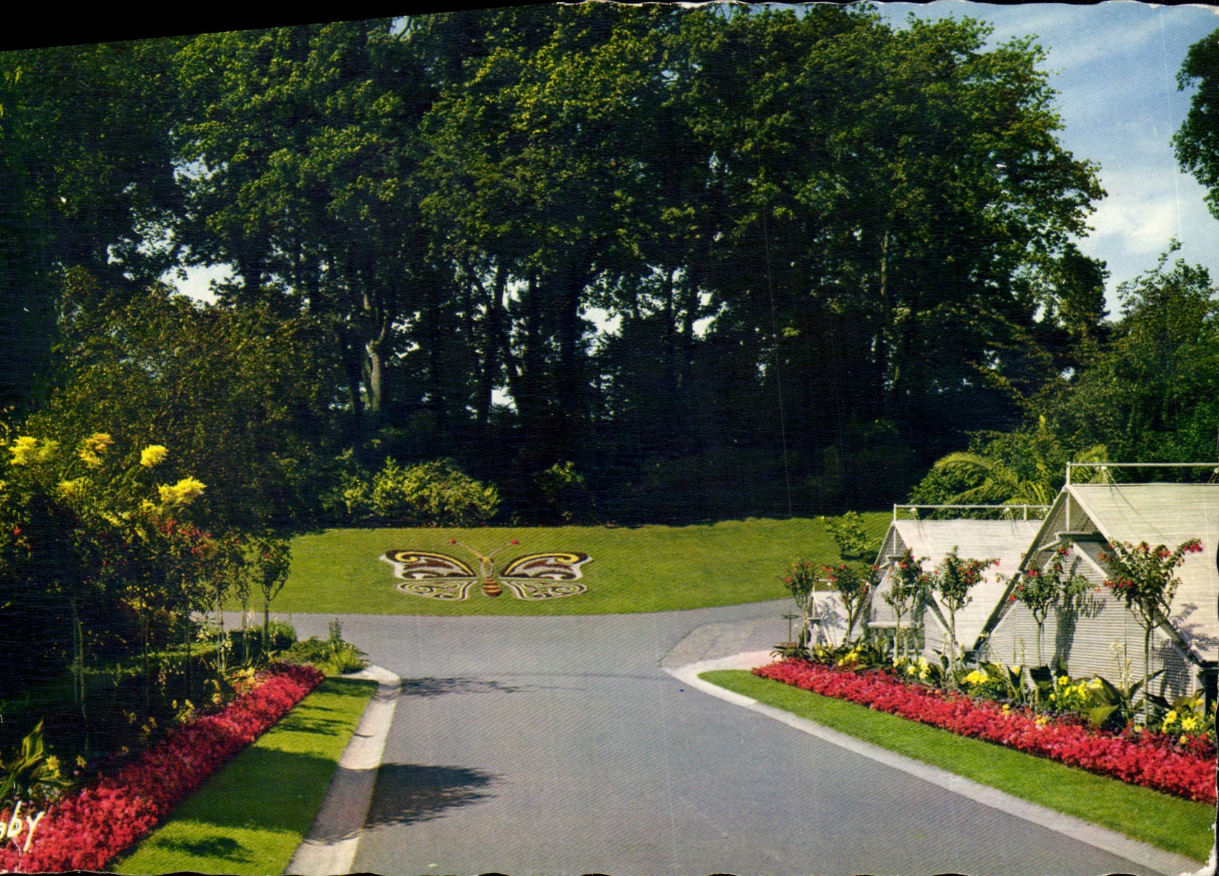 CPSM Caen Calvades Le Jardin des Plantes Le Papillon