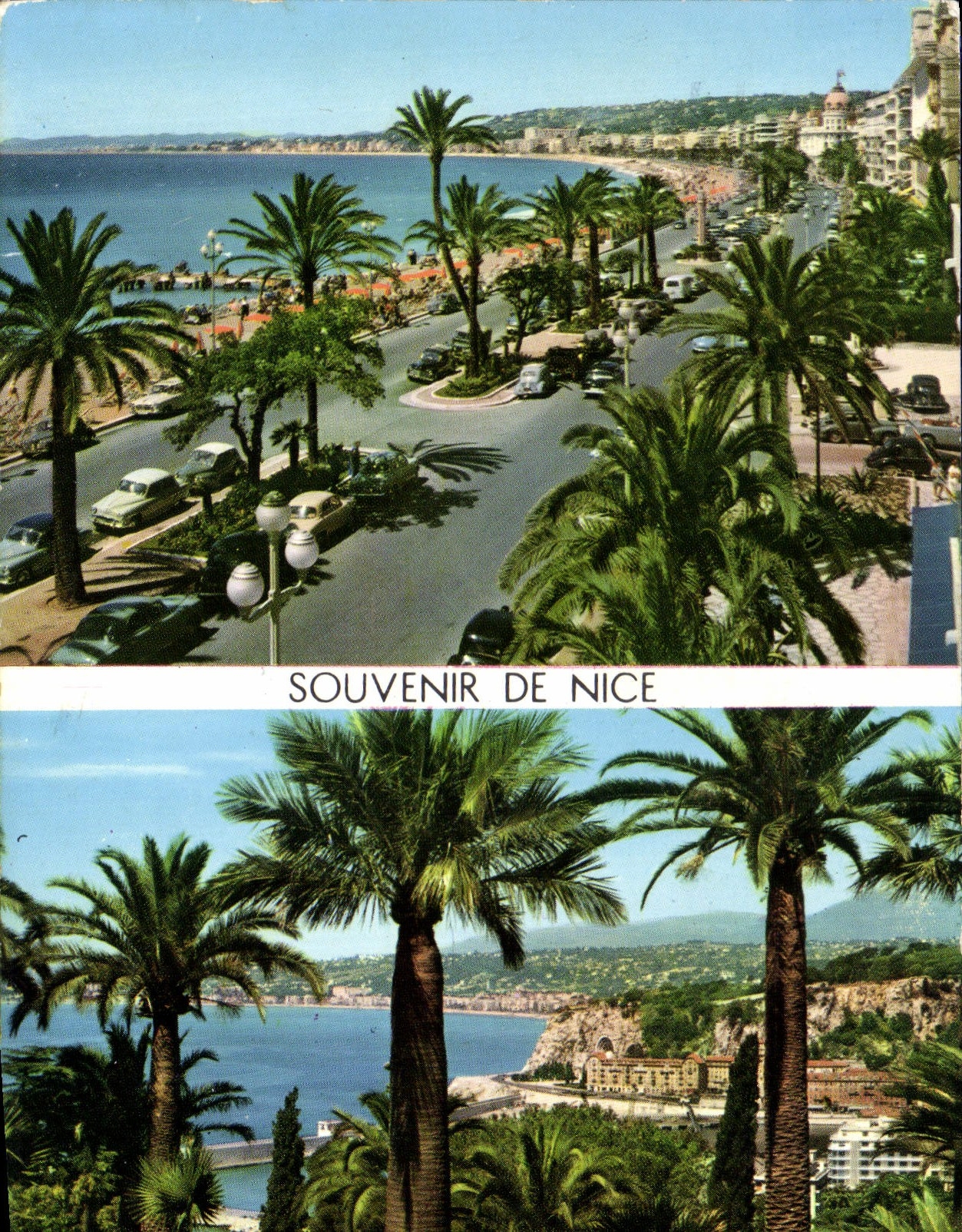 CPSM Souvenir de Nice 