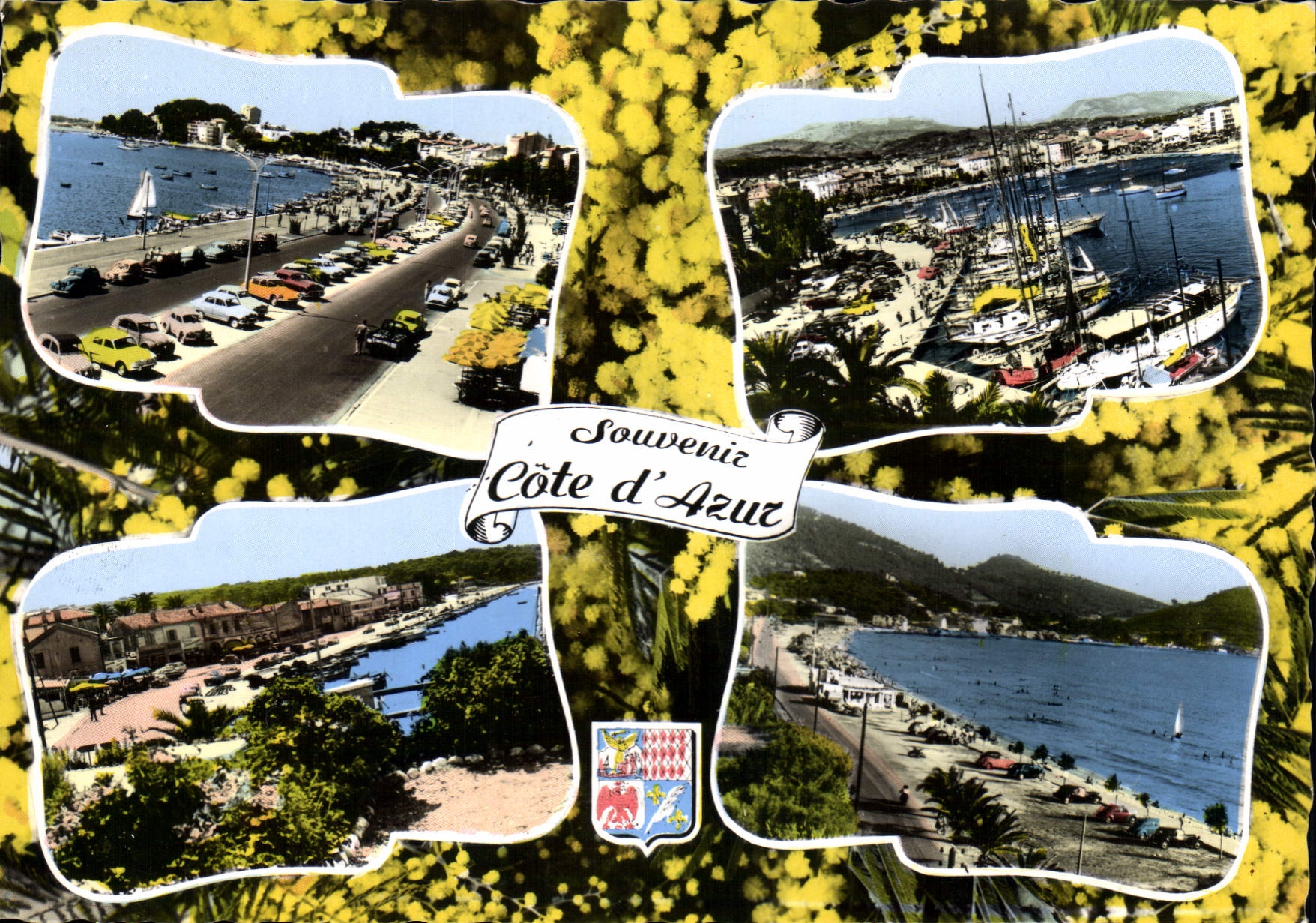 CPSM Lumiere et Beaute de la Cote d'Azur Sanary Bandol les Lecques Le Brusc