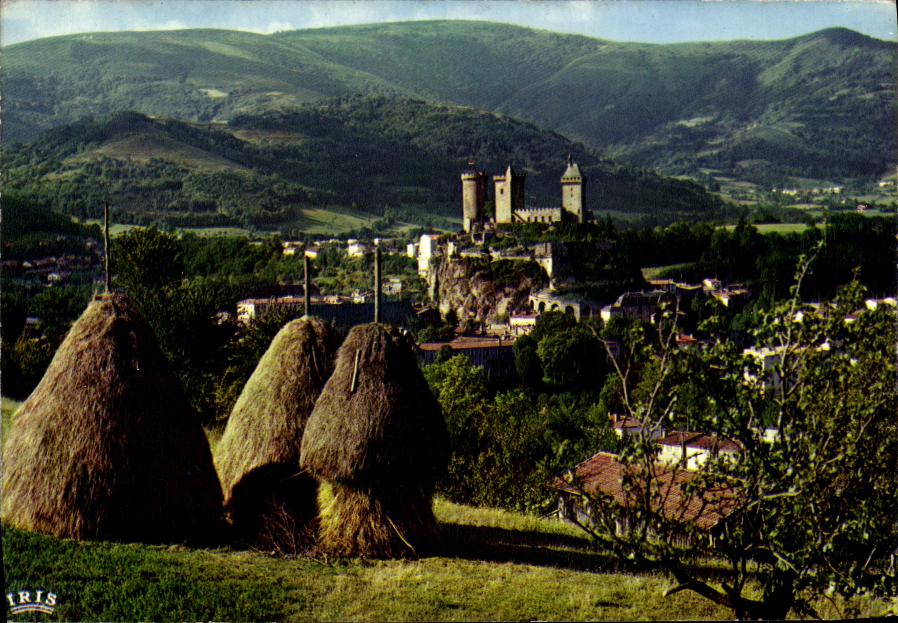 CPSM Foix Ariege La Ville et la Chateau 