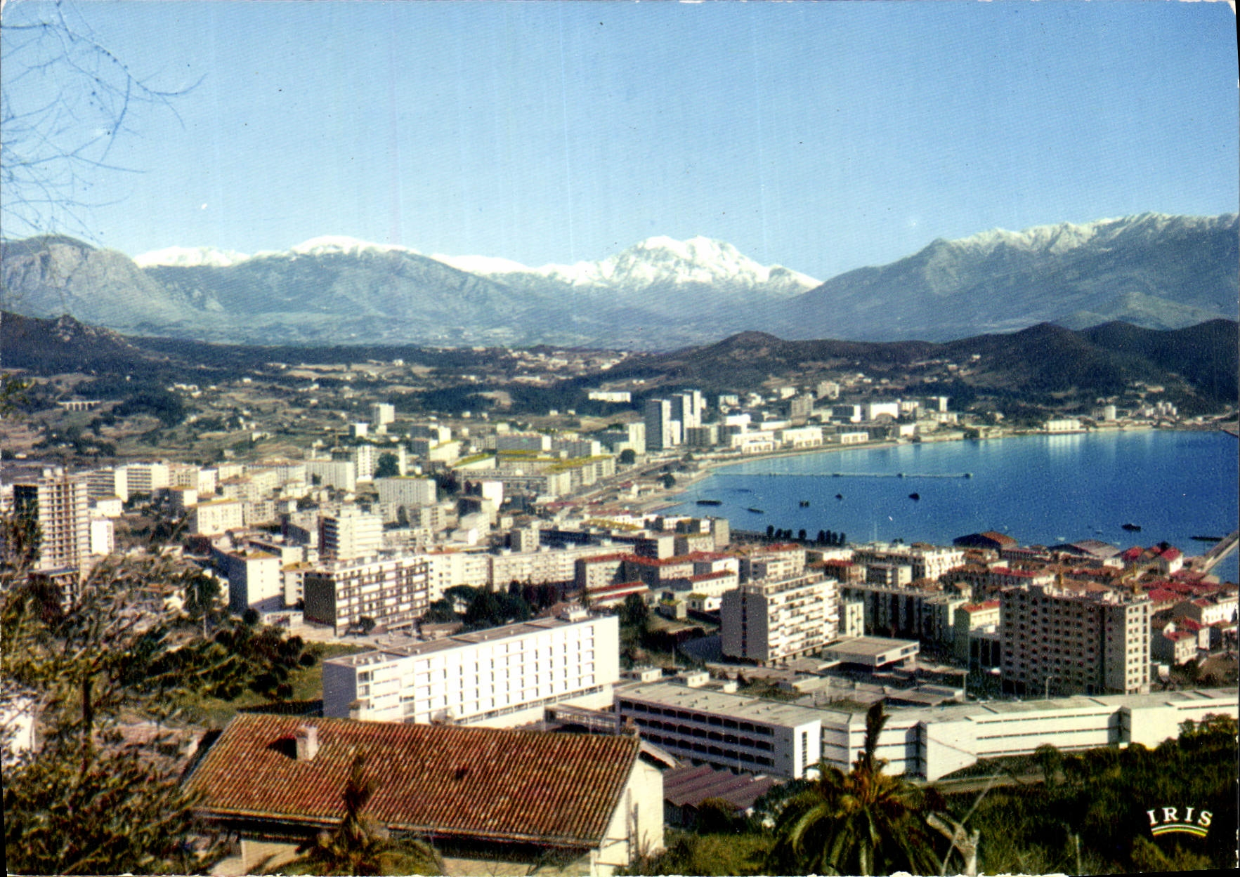 CPSM Ajaccio Vue generale sur le Golfe
