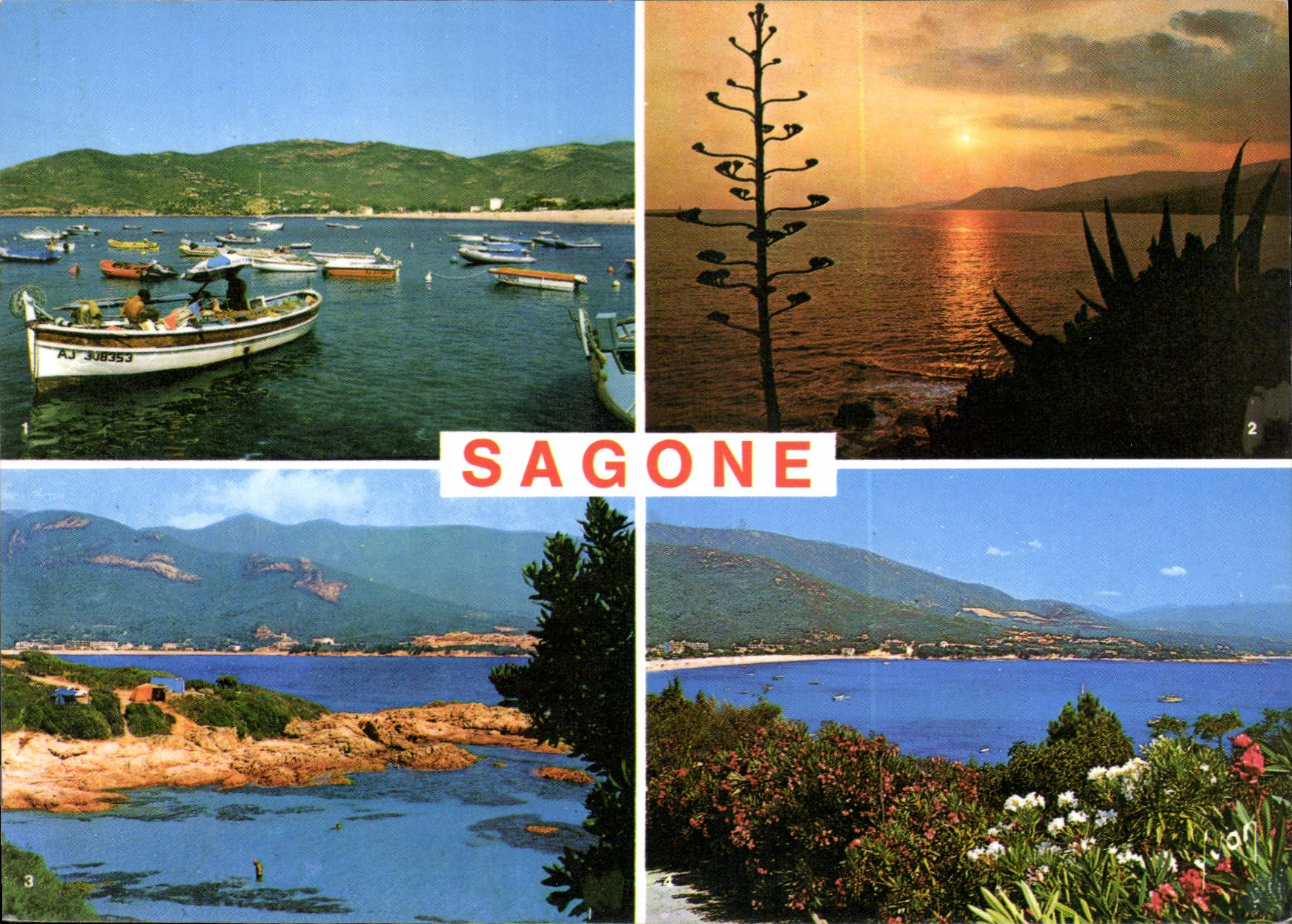CPSM La Corse Oasis de Beaute Sagone 