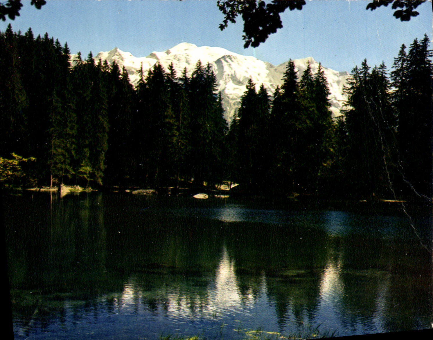 CPSM Le lac vert et le massif du Mont Blanc